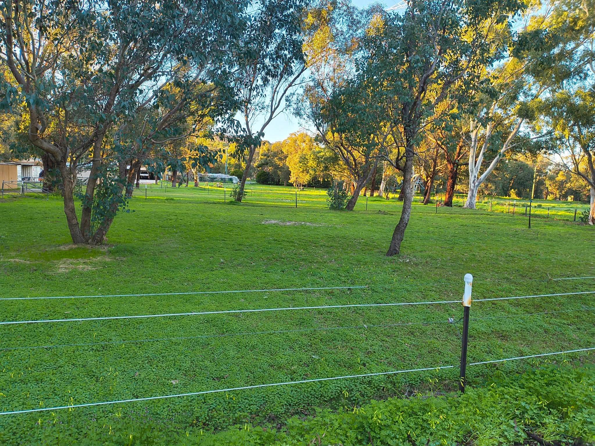 Paddocks