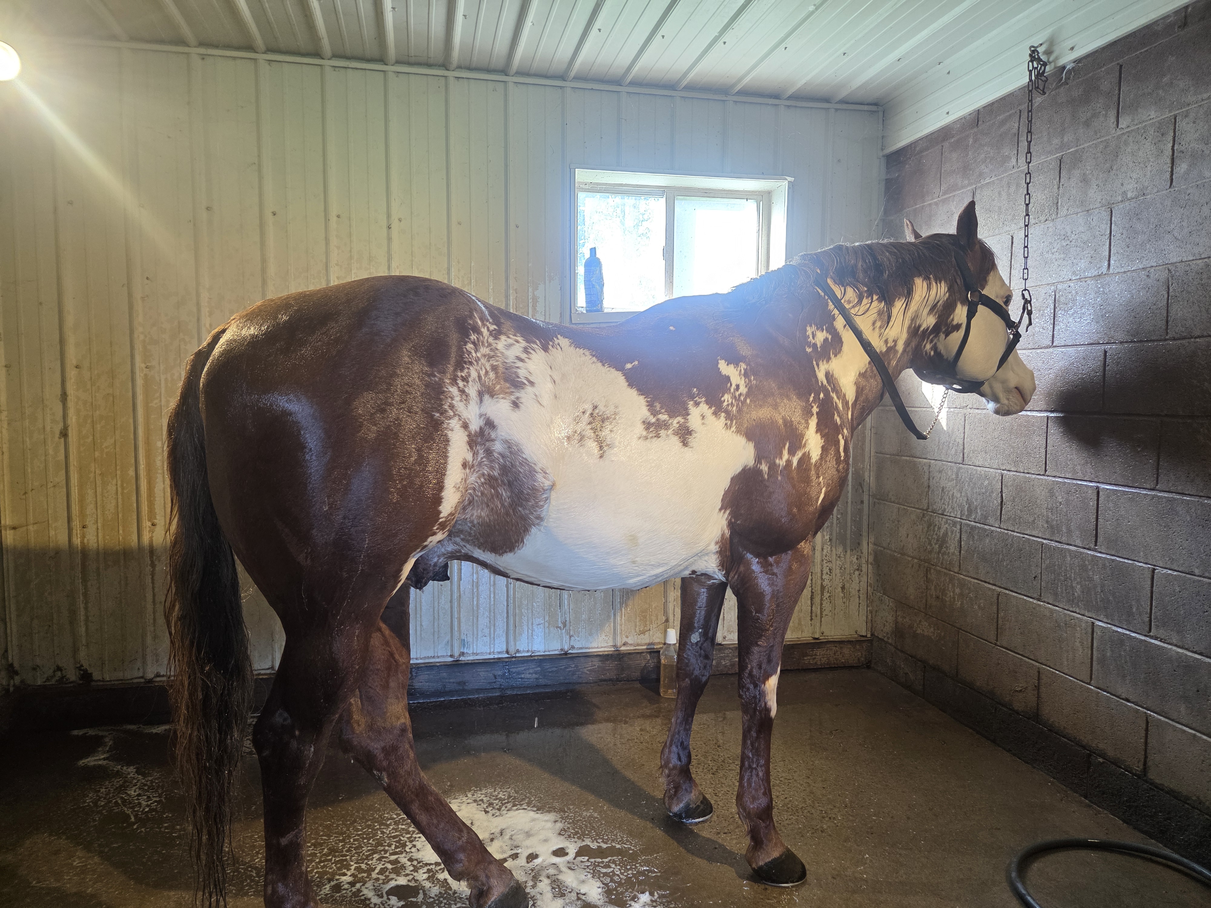 Hot&cold year round wash stall