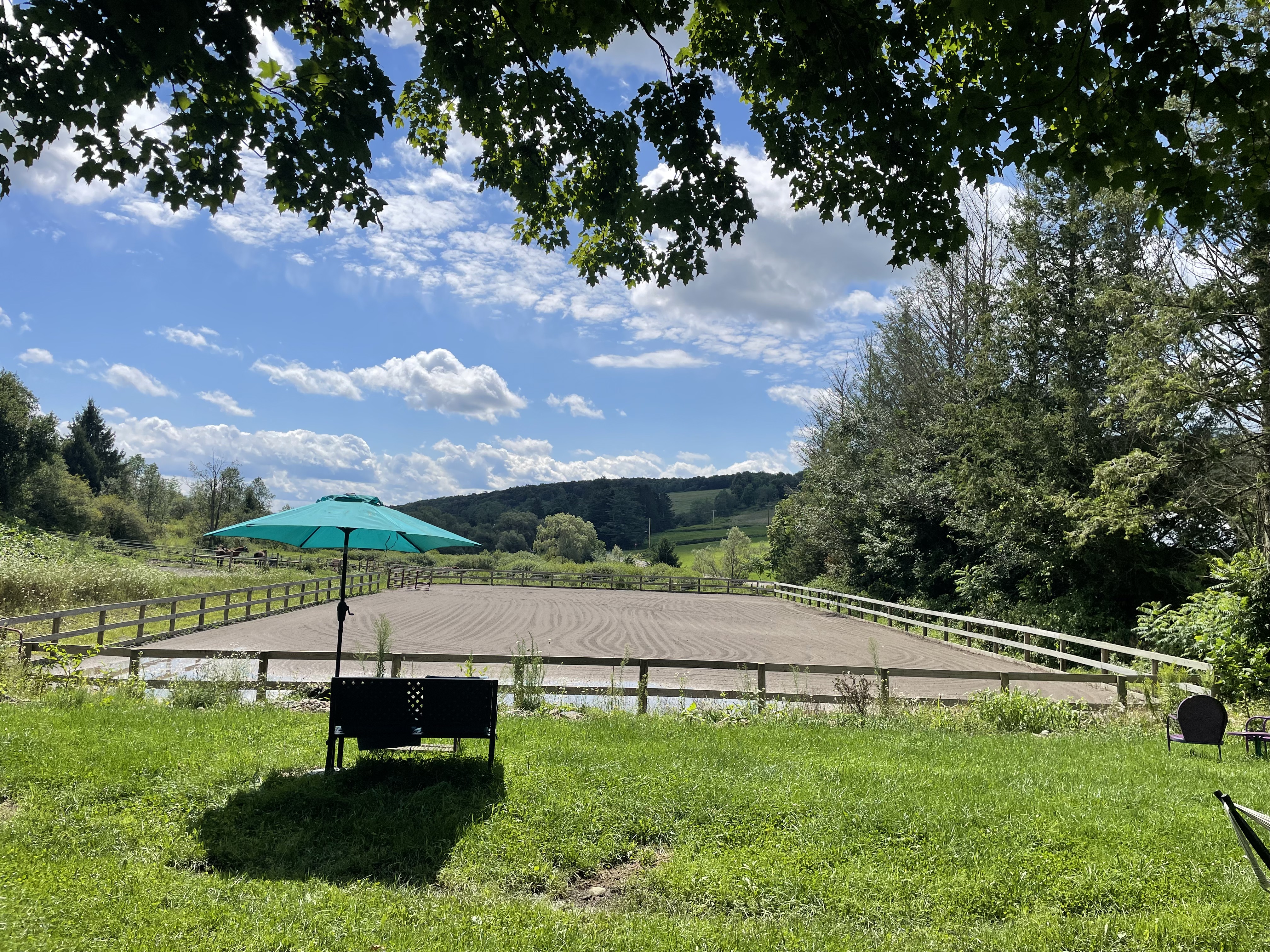 Outdoor Arena