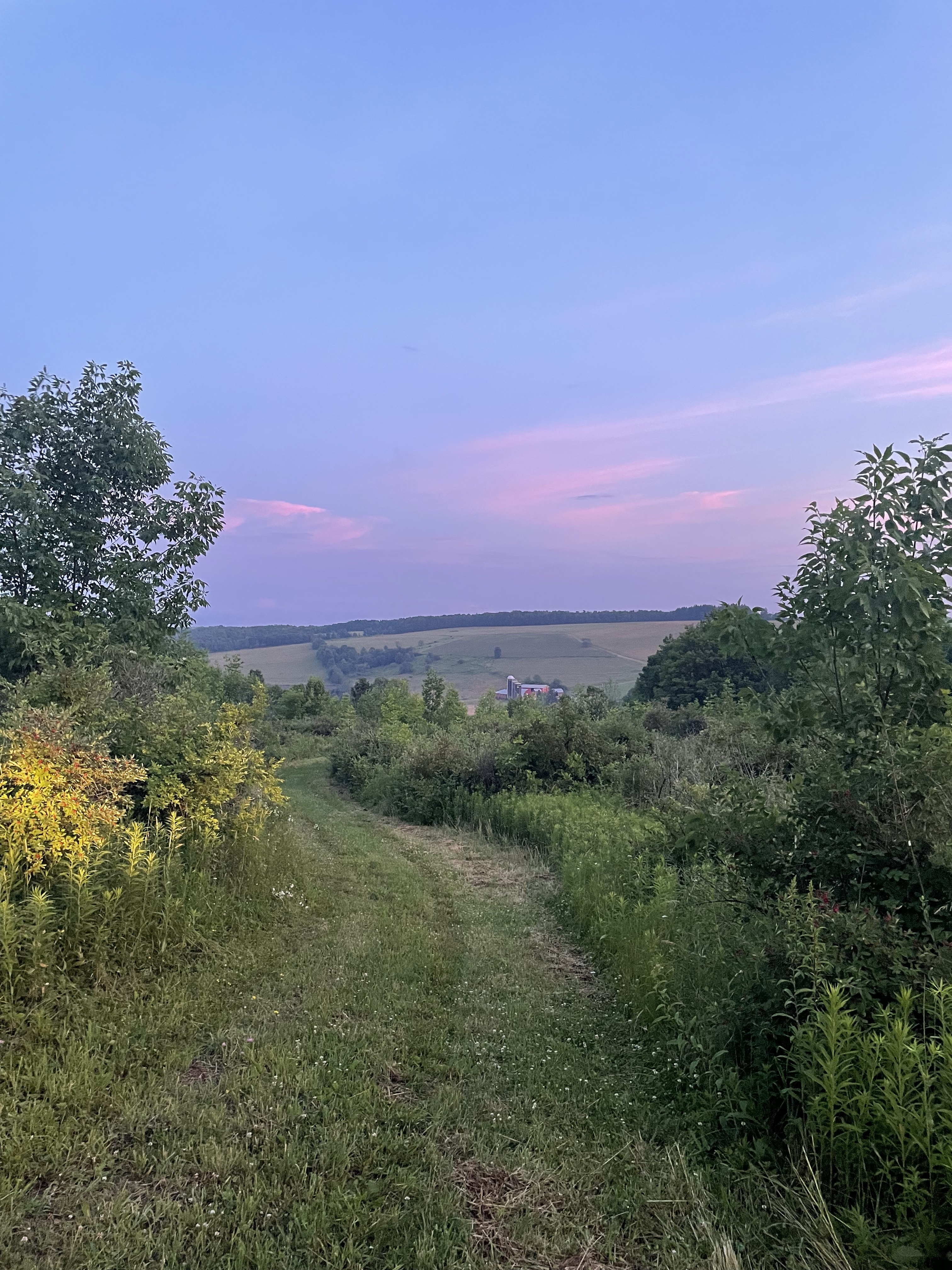 Trails