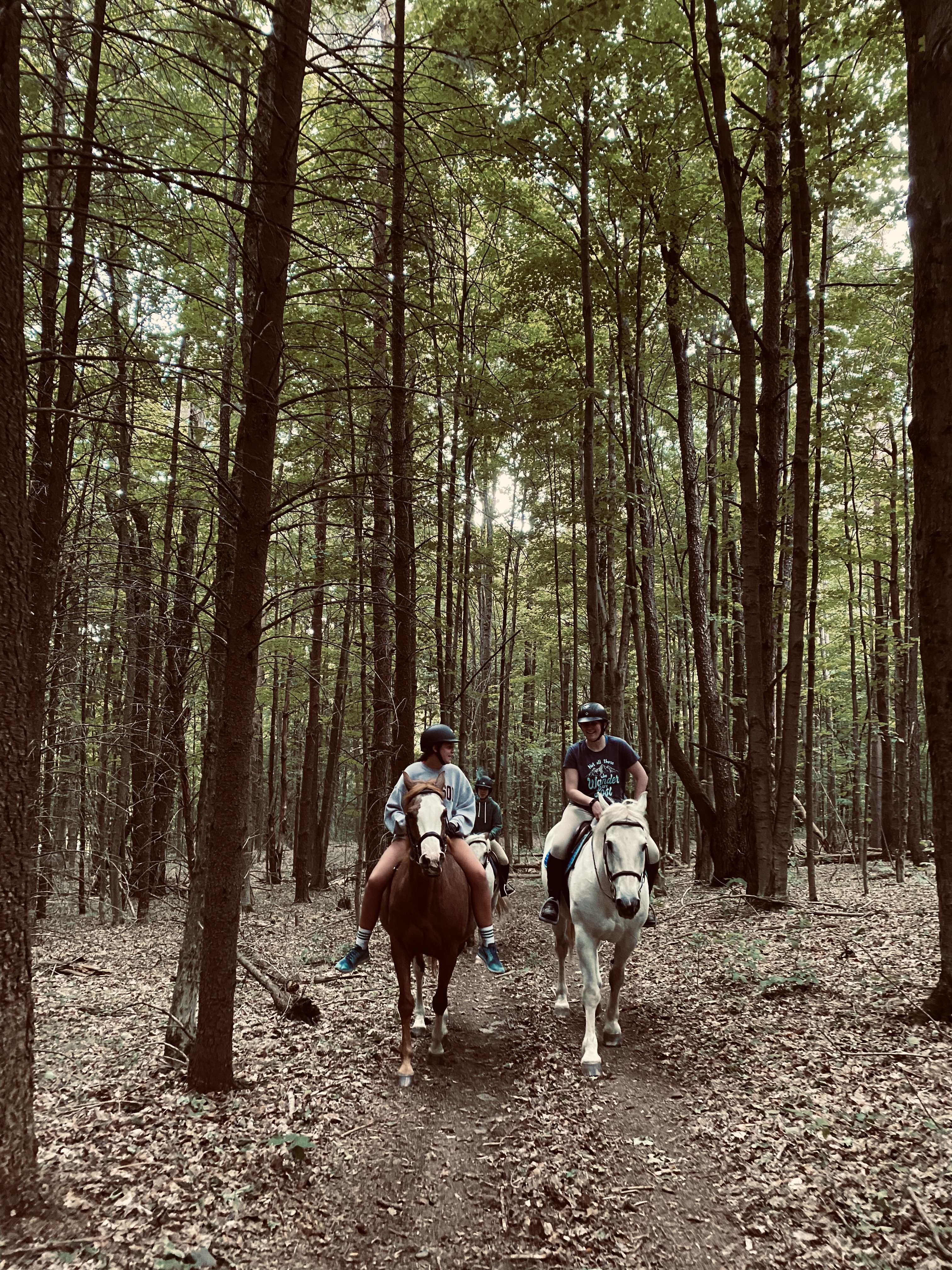 Trails