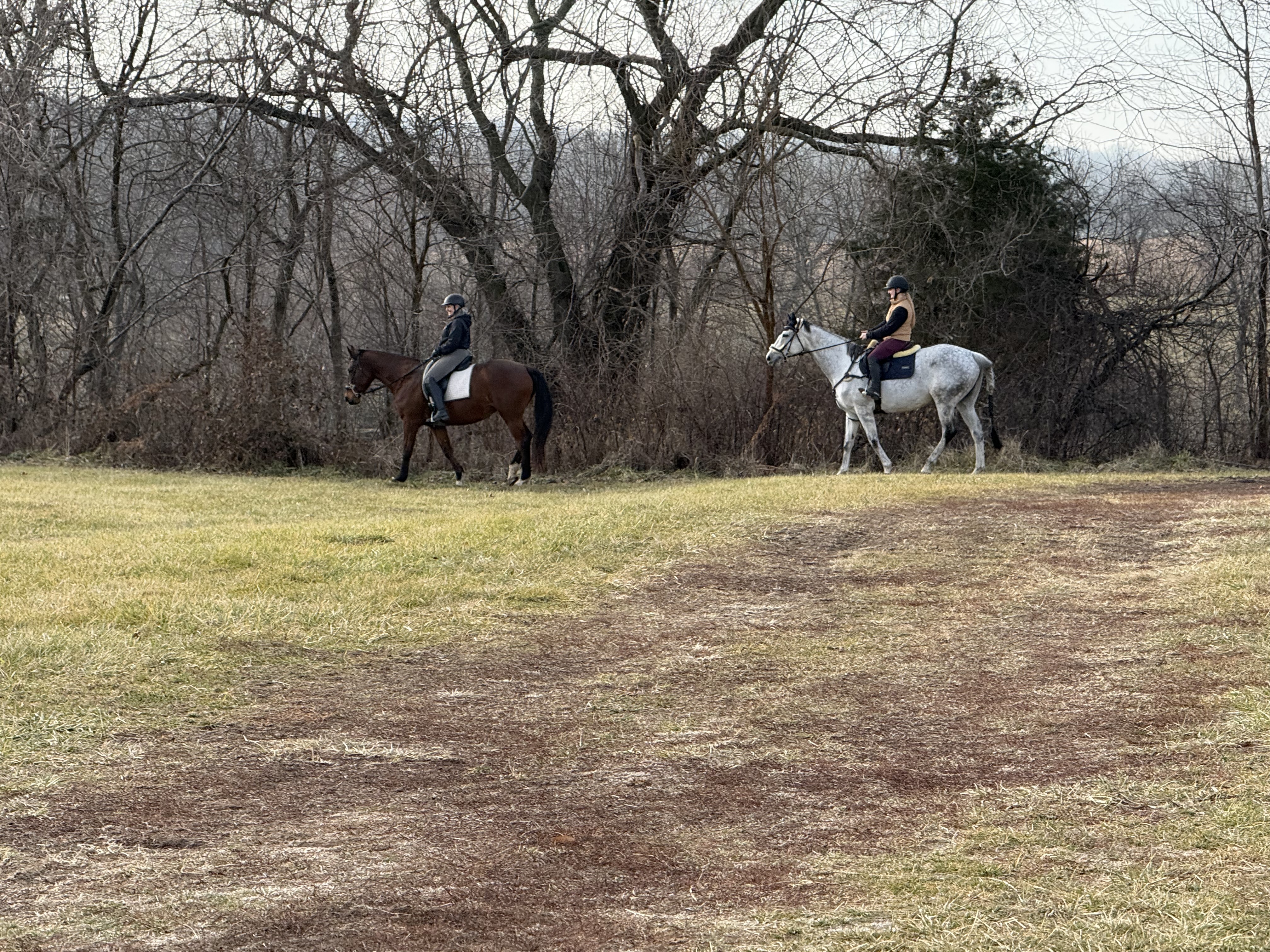 Trails around property