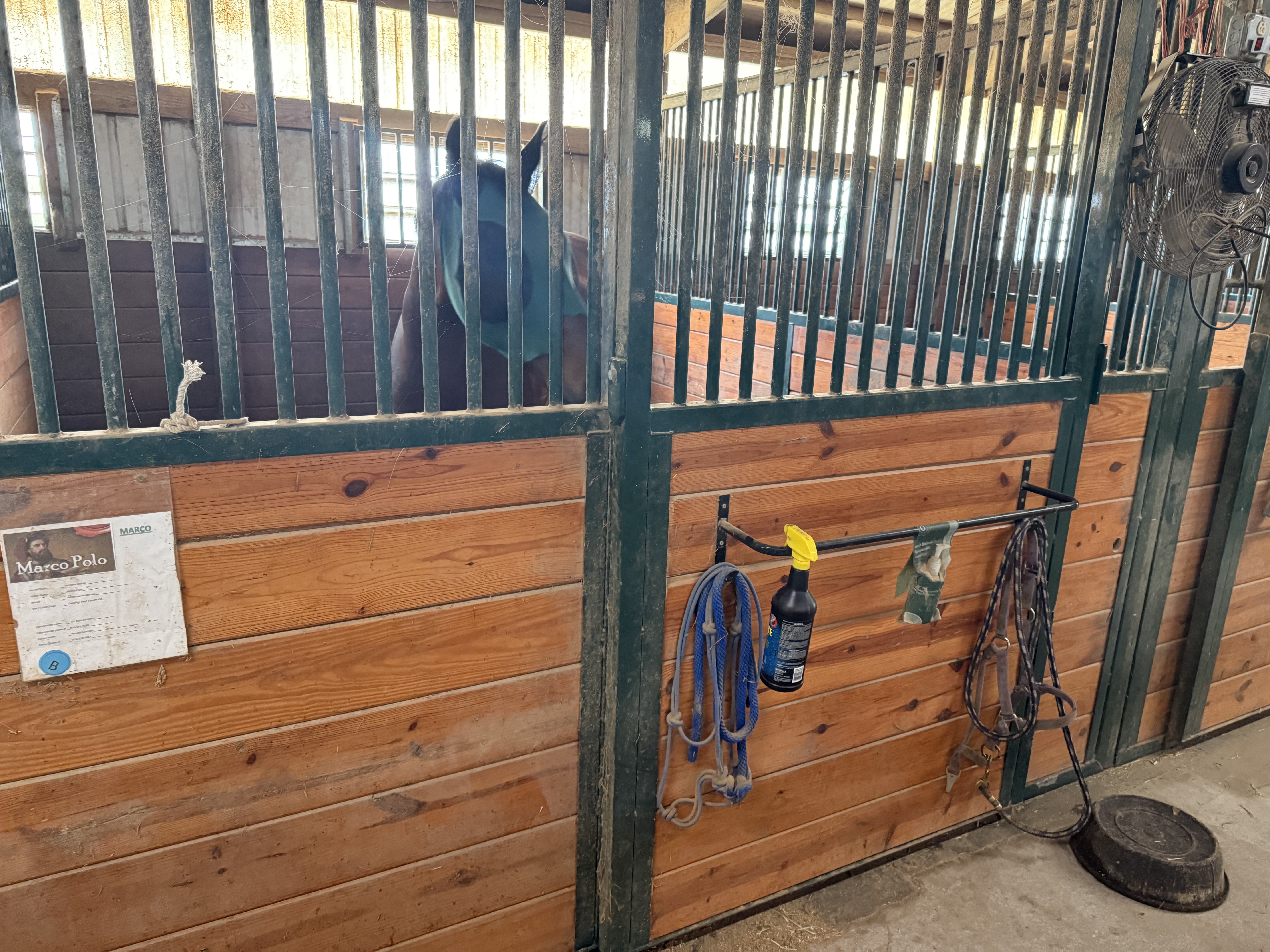 16 stalls in the barn