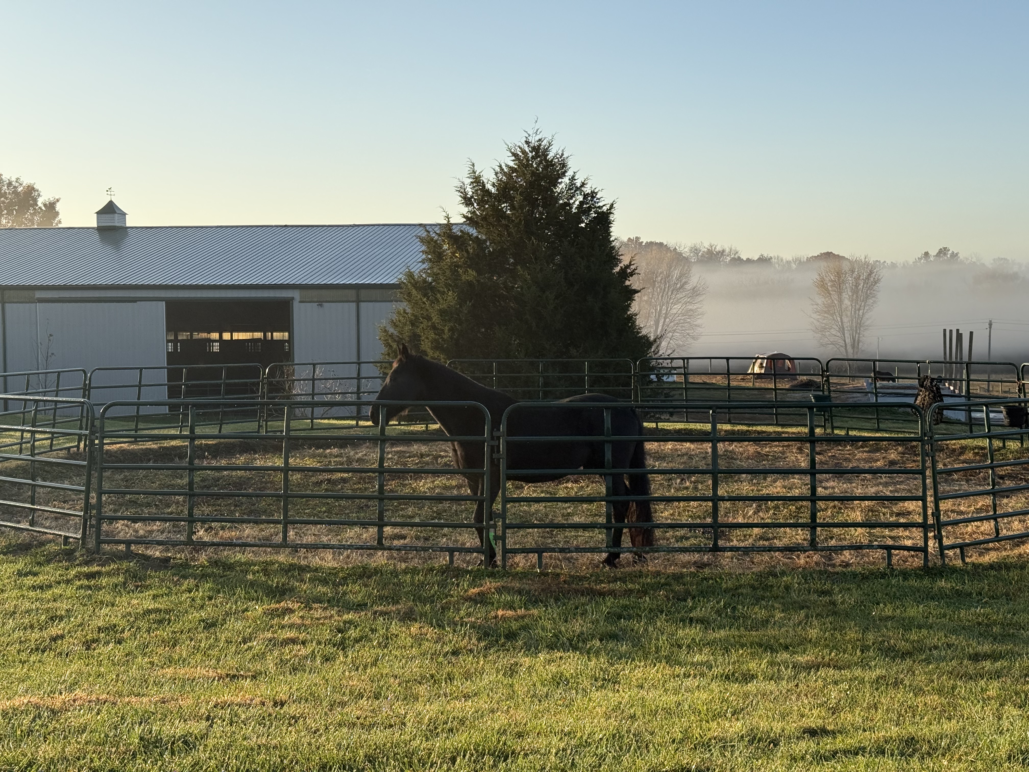 60 ft round pen