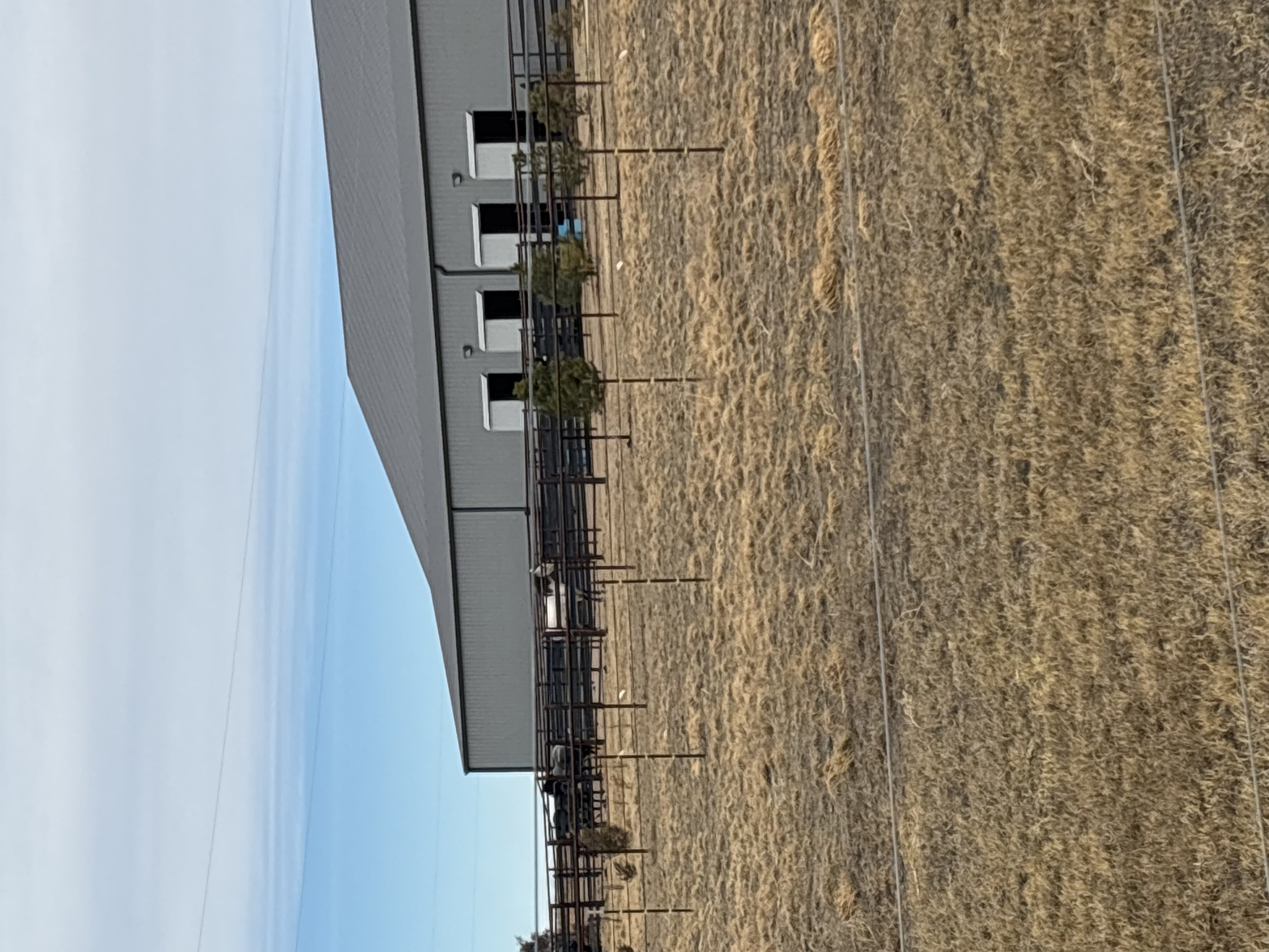 Barn