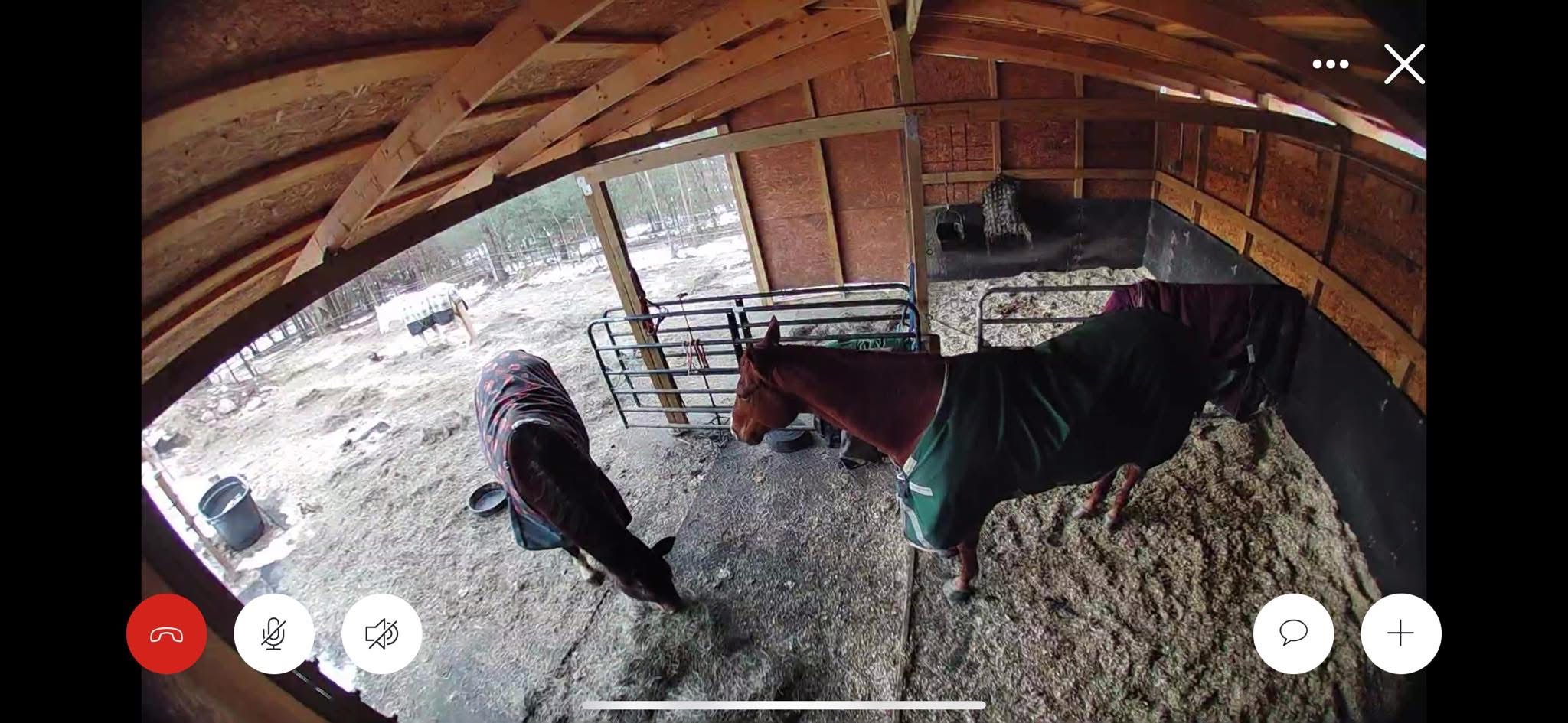 Barn Camera