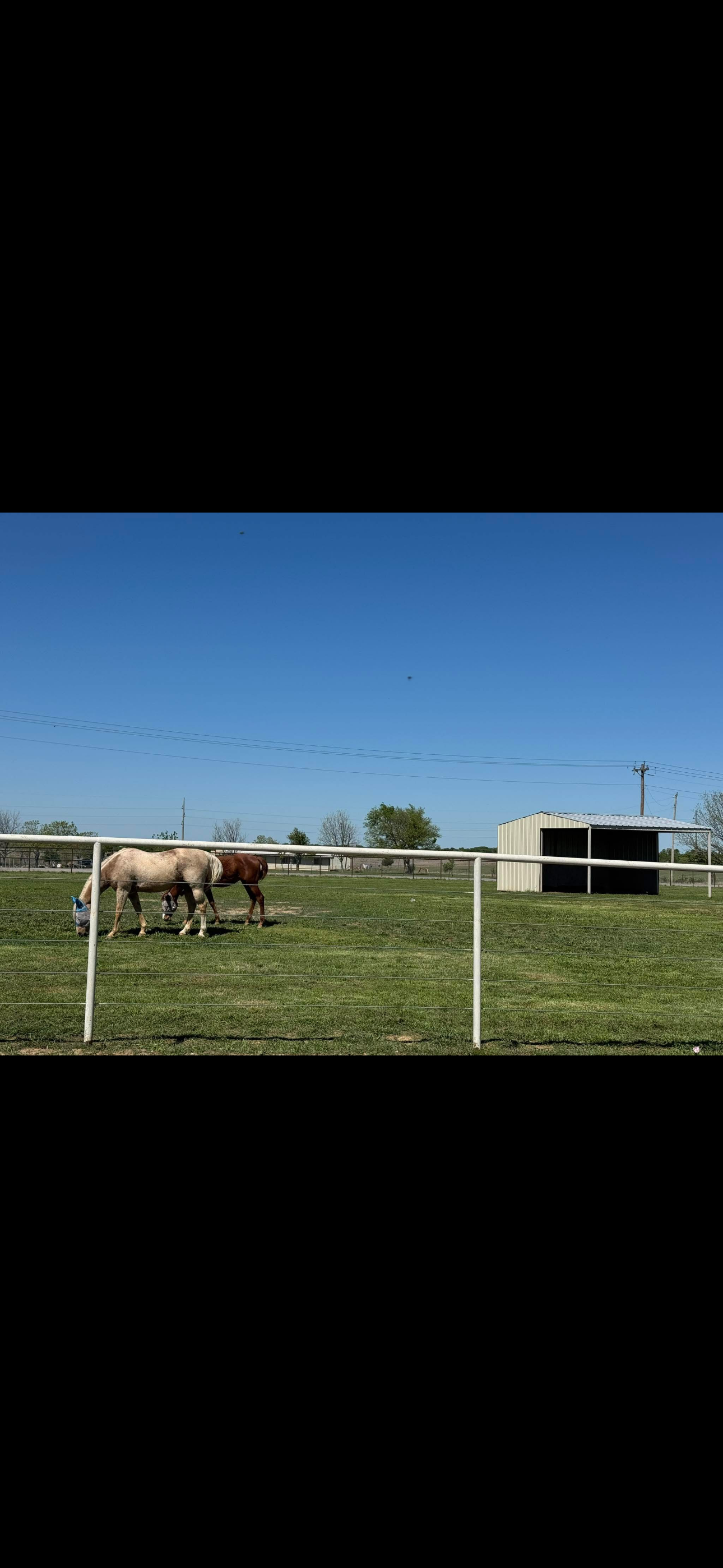 Pastures