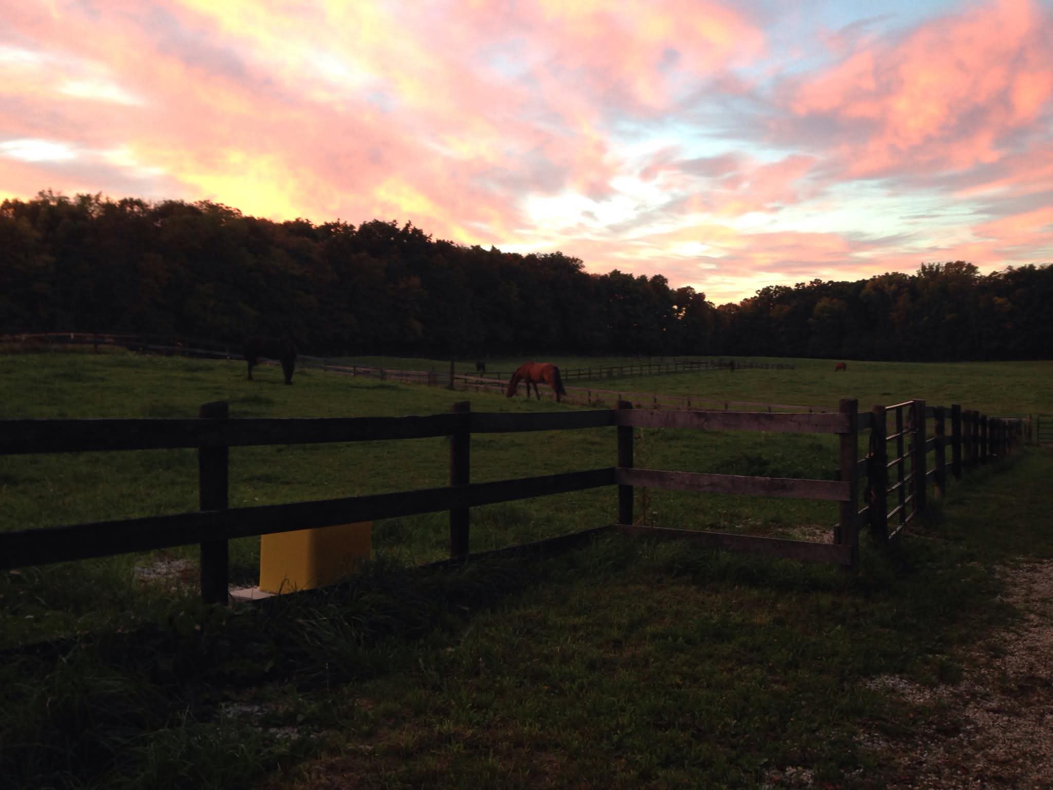 Pastures