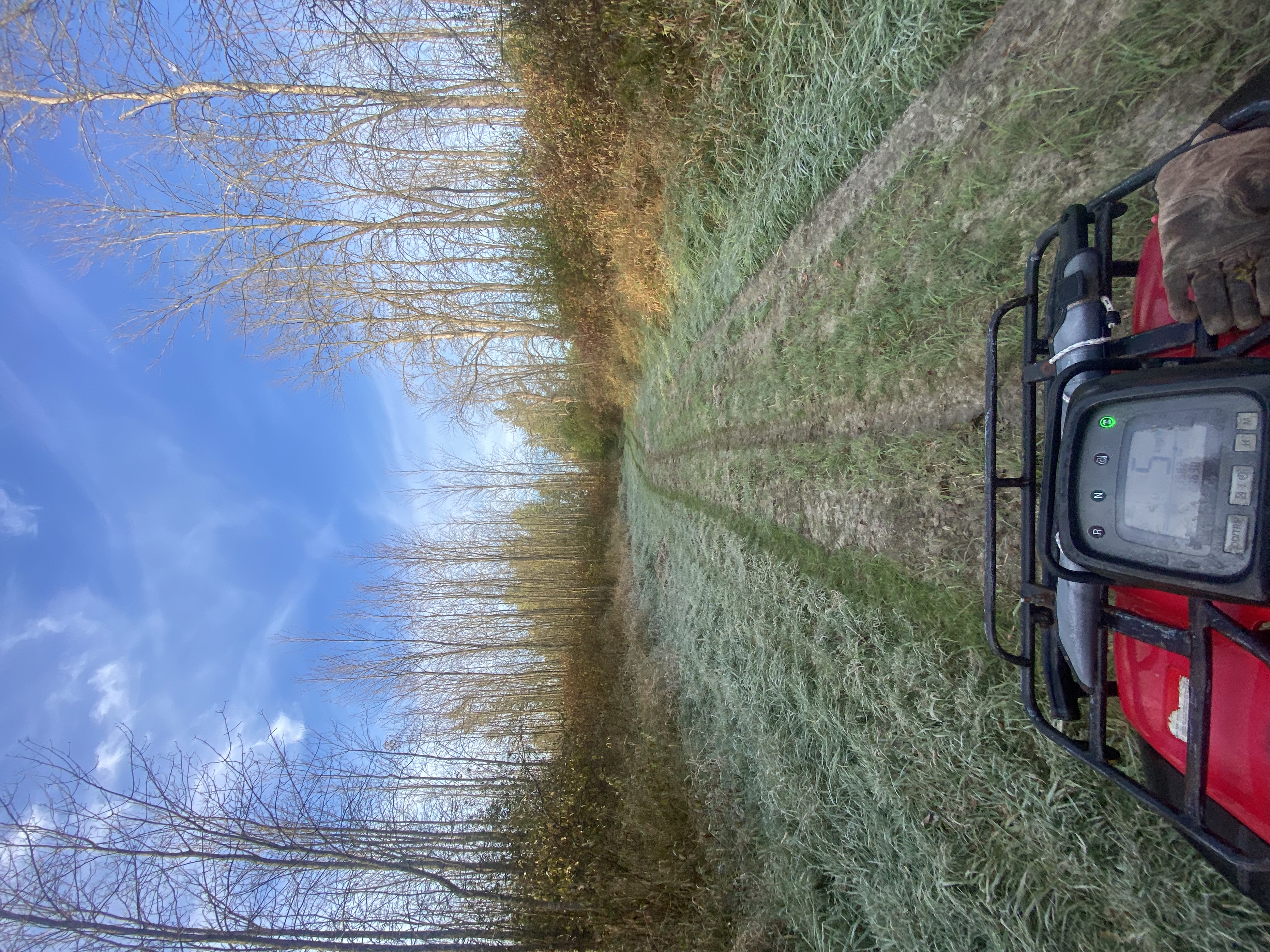 Trails we have on our property