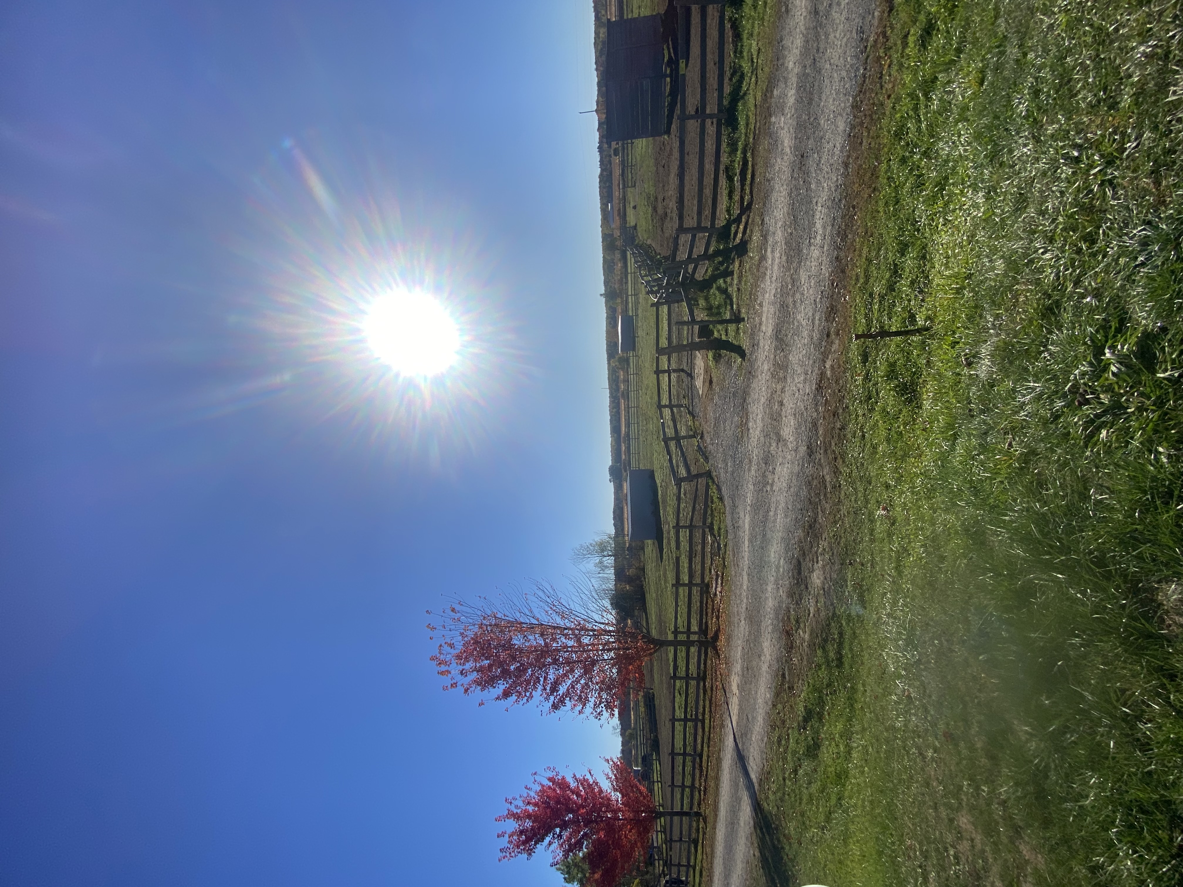 Some of our paddocks