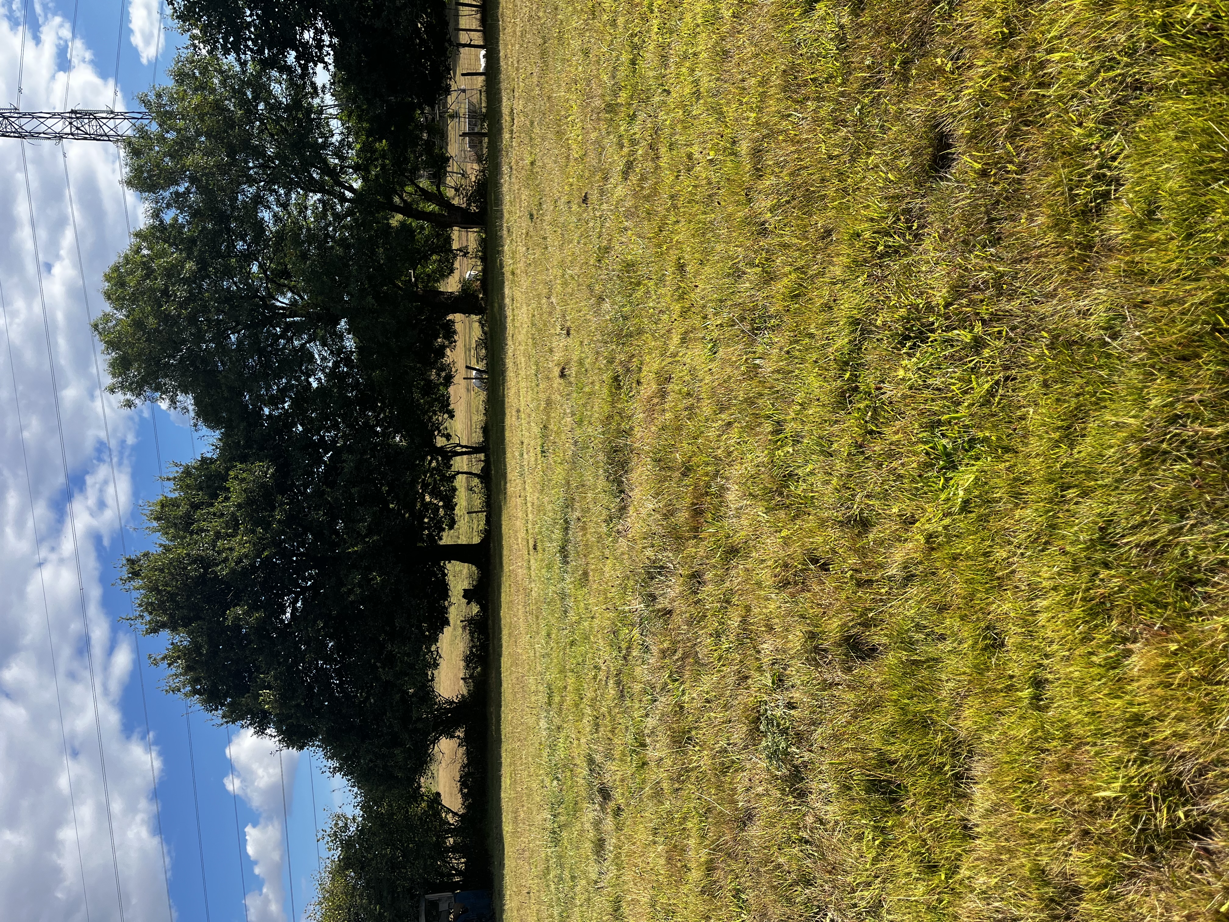 One of the paddocks