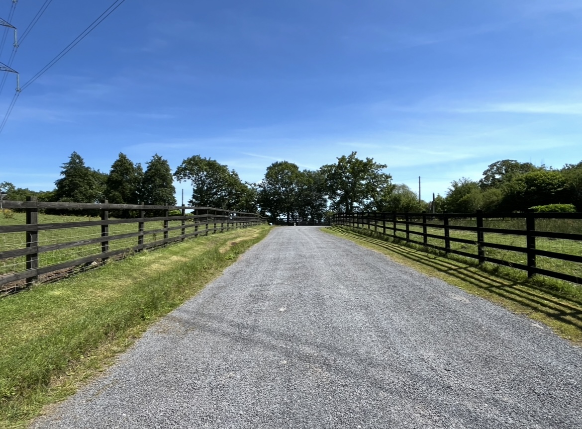Our driveway