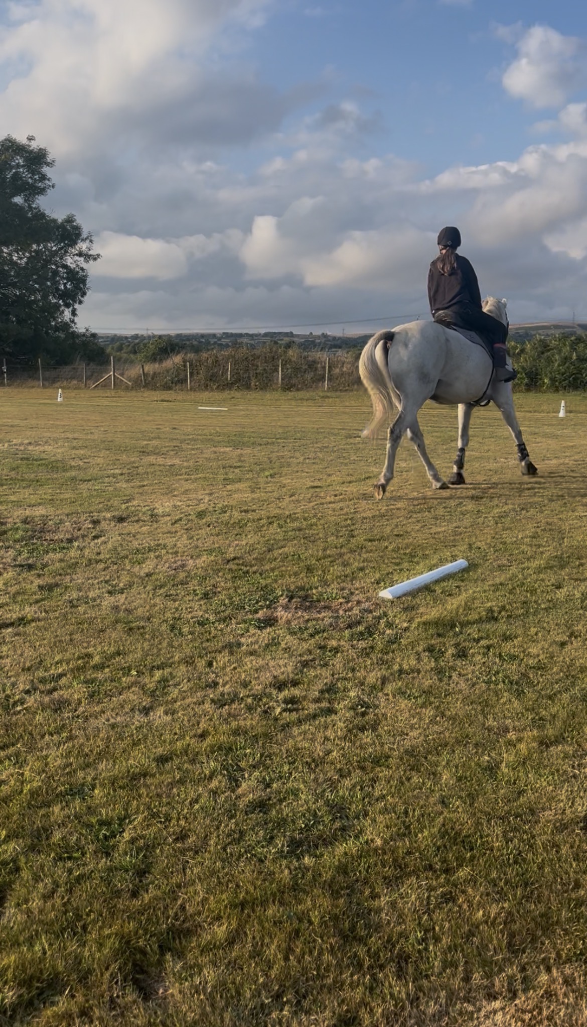 The dressage on grass arena