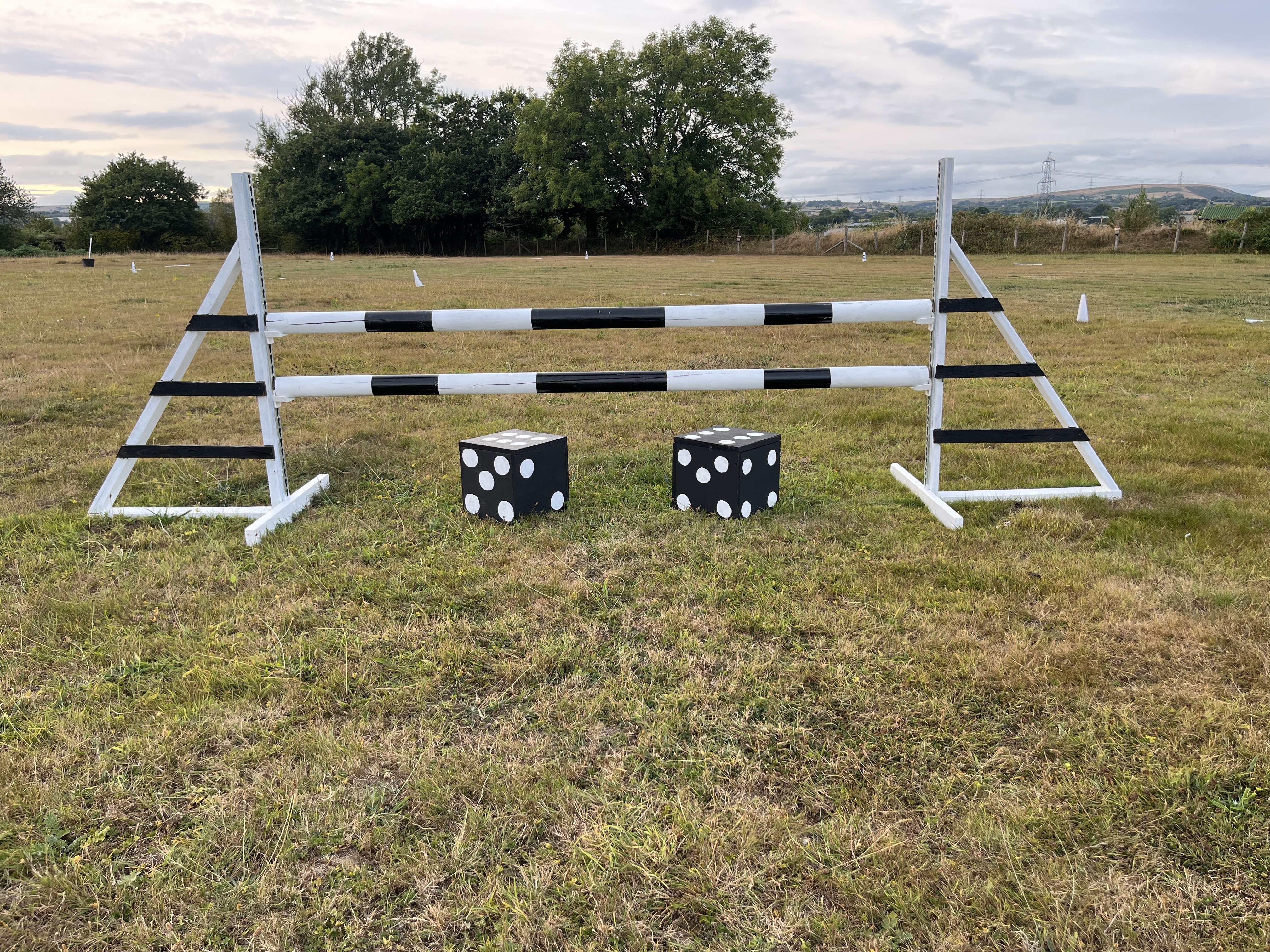 Dice jump