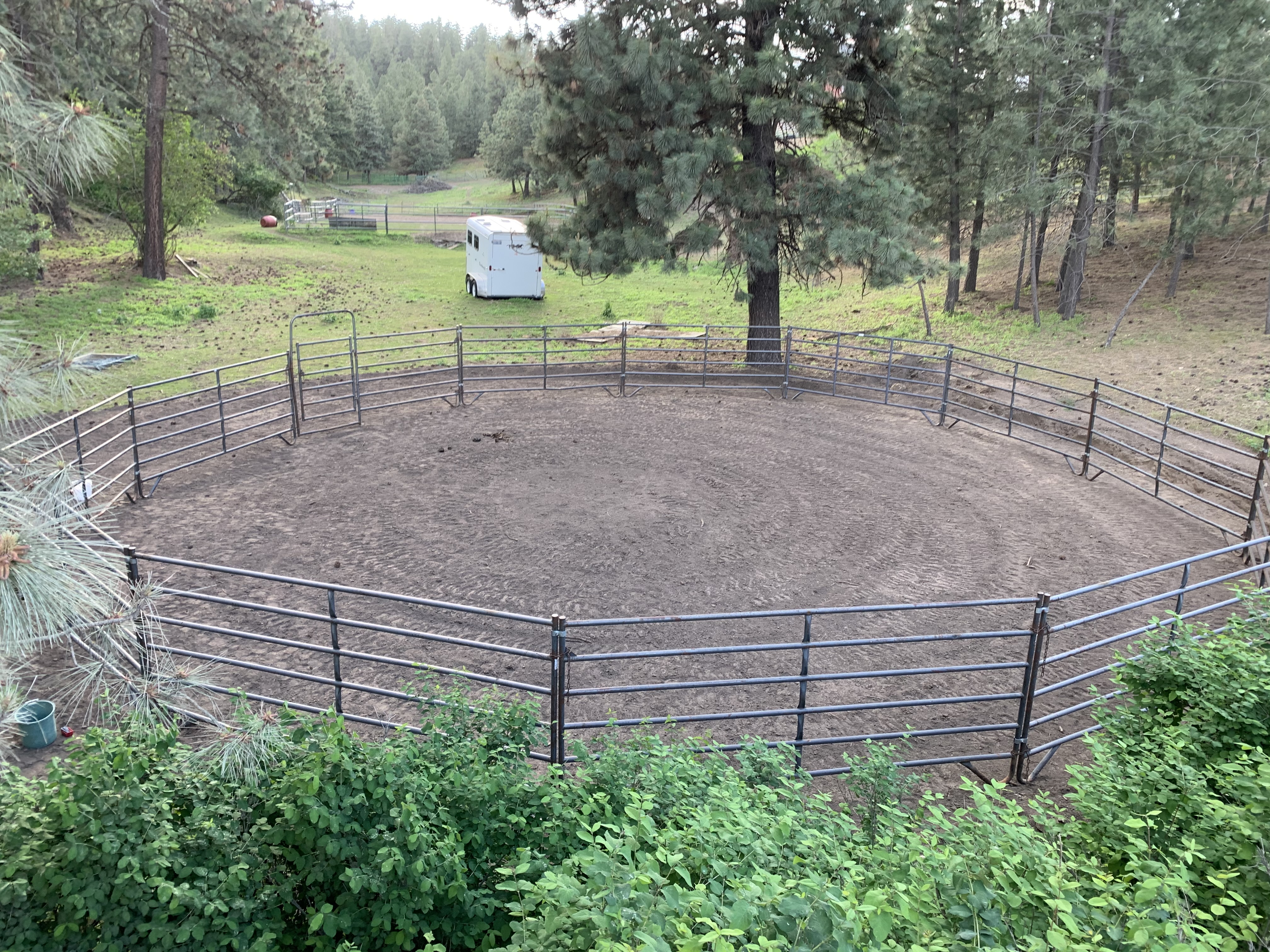 Second round pen