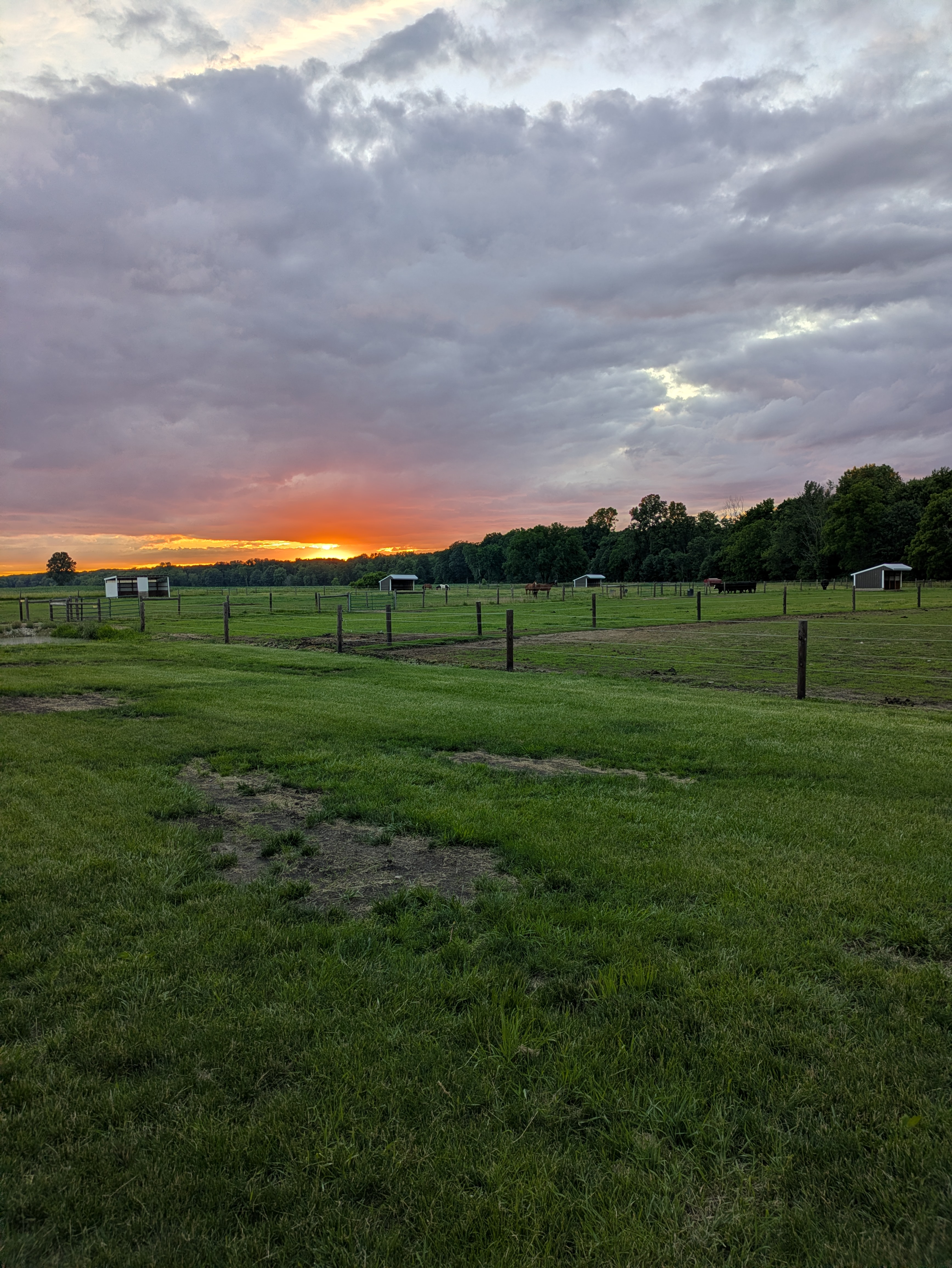 Pastures