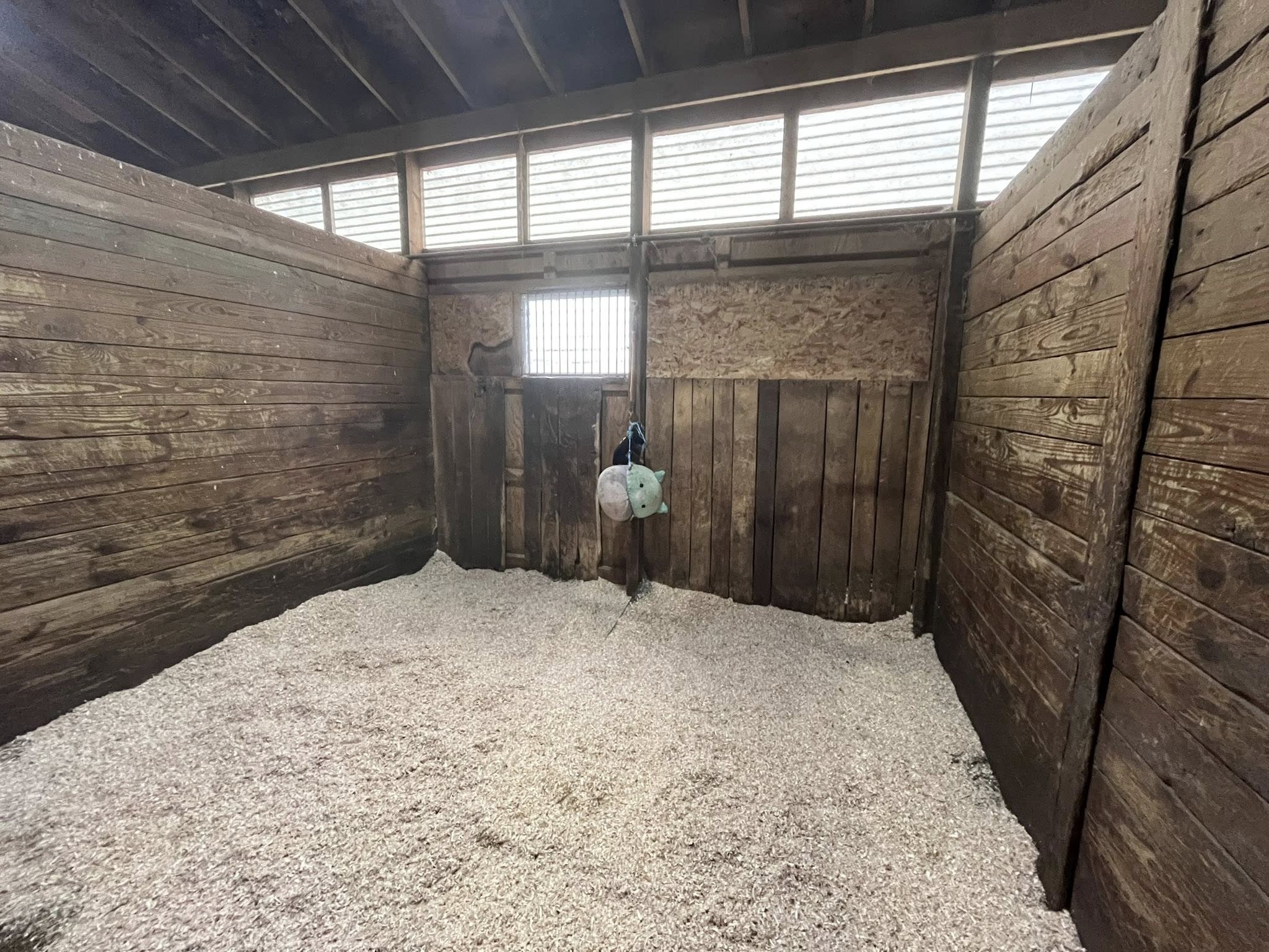 Stall