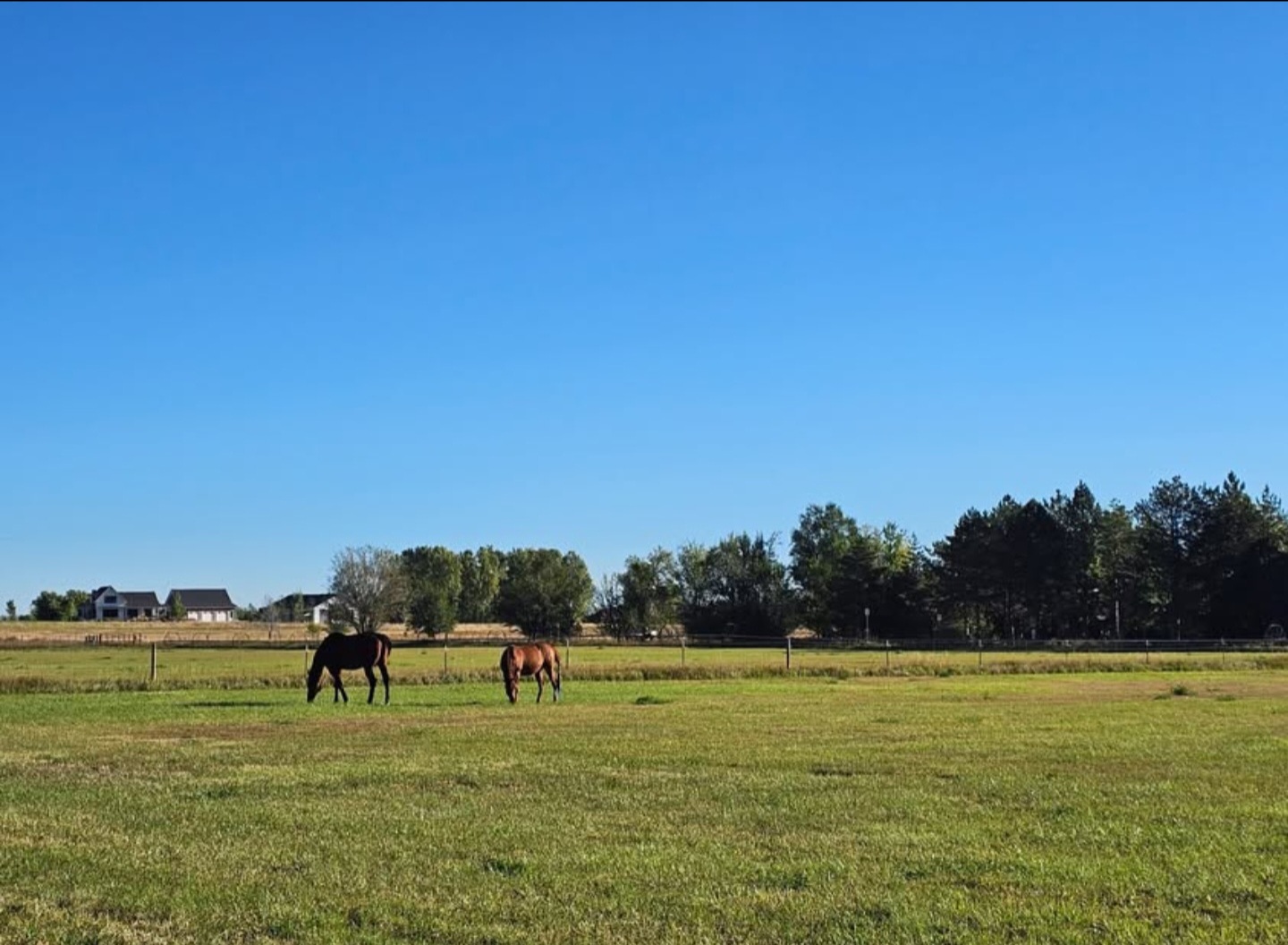 East pasture