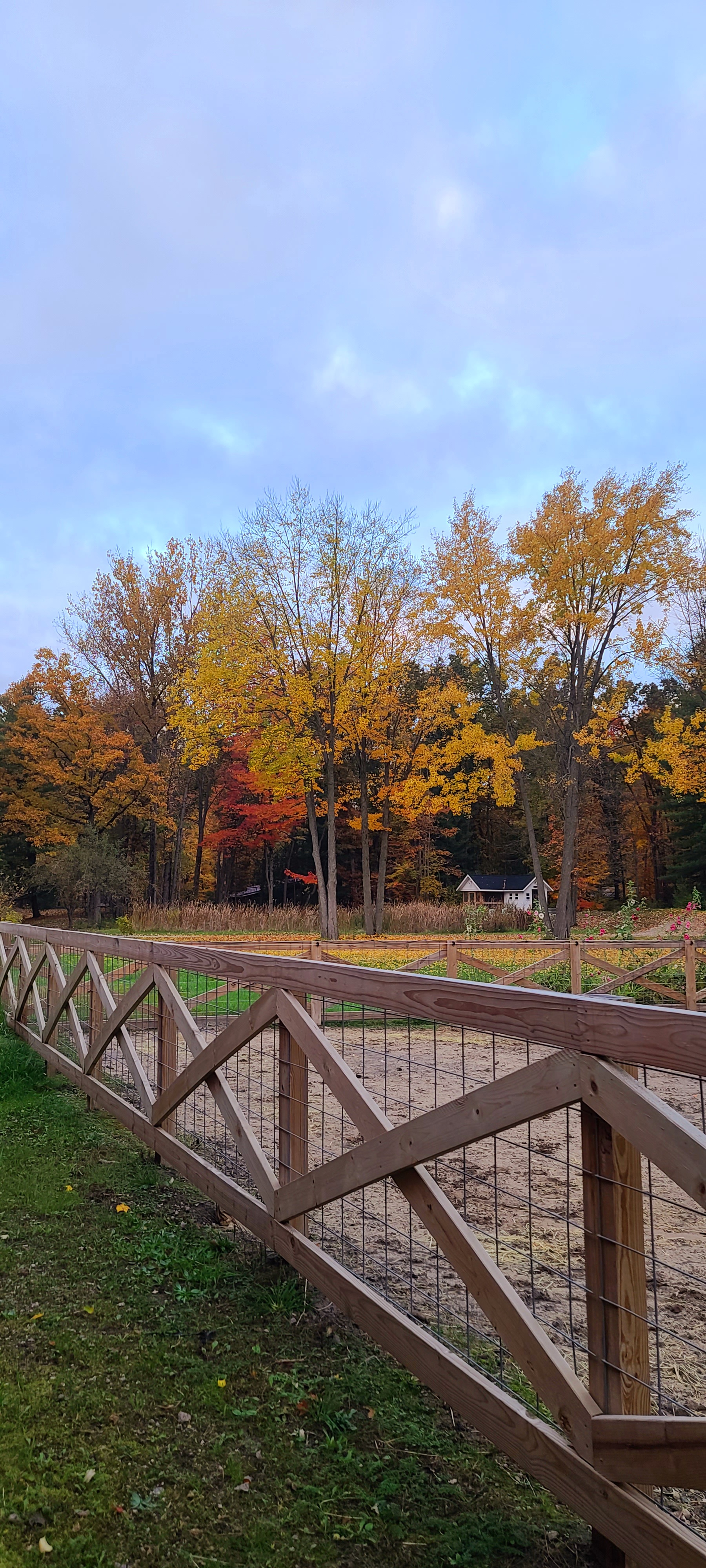 Did I mention we love fall around here?!