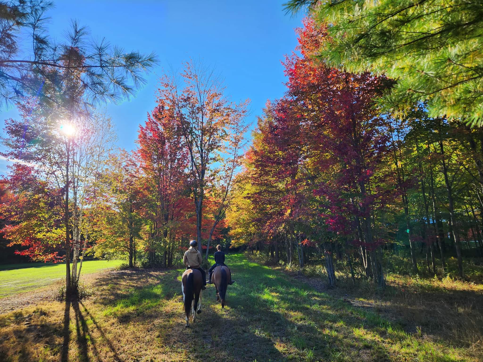 You can't beat a fall trail ride.