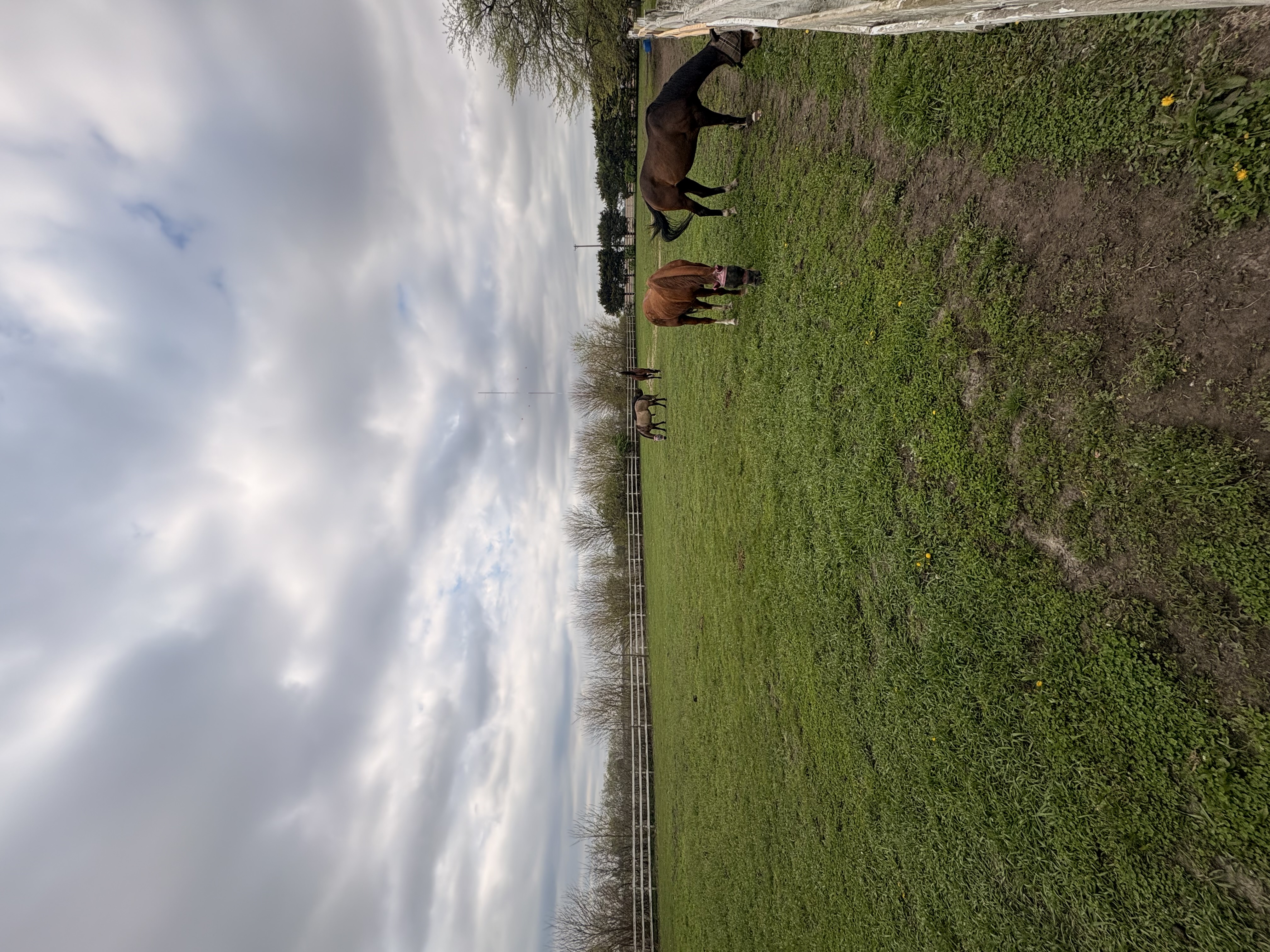 One of our pastures