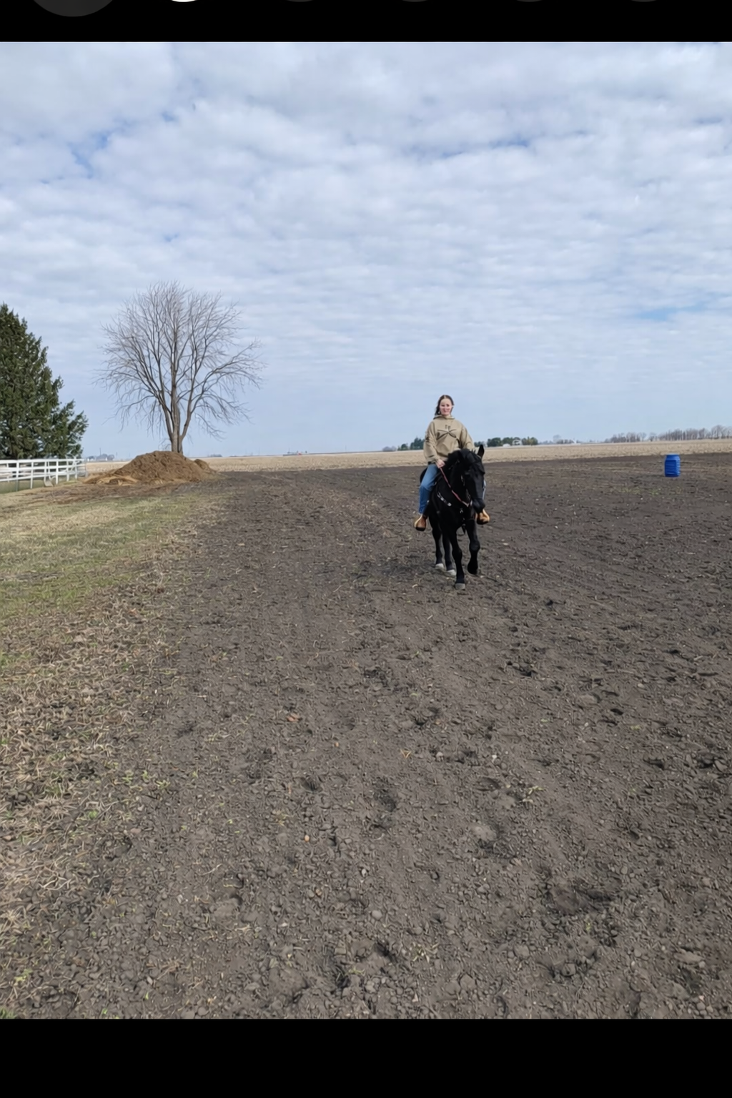 300x150 outdoor arena