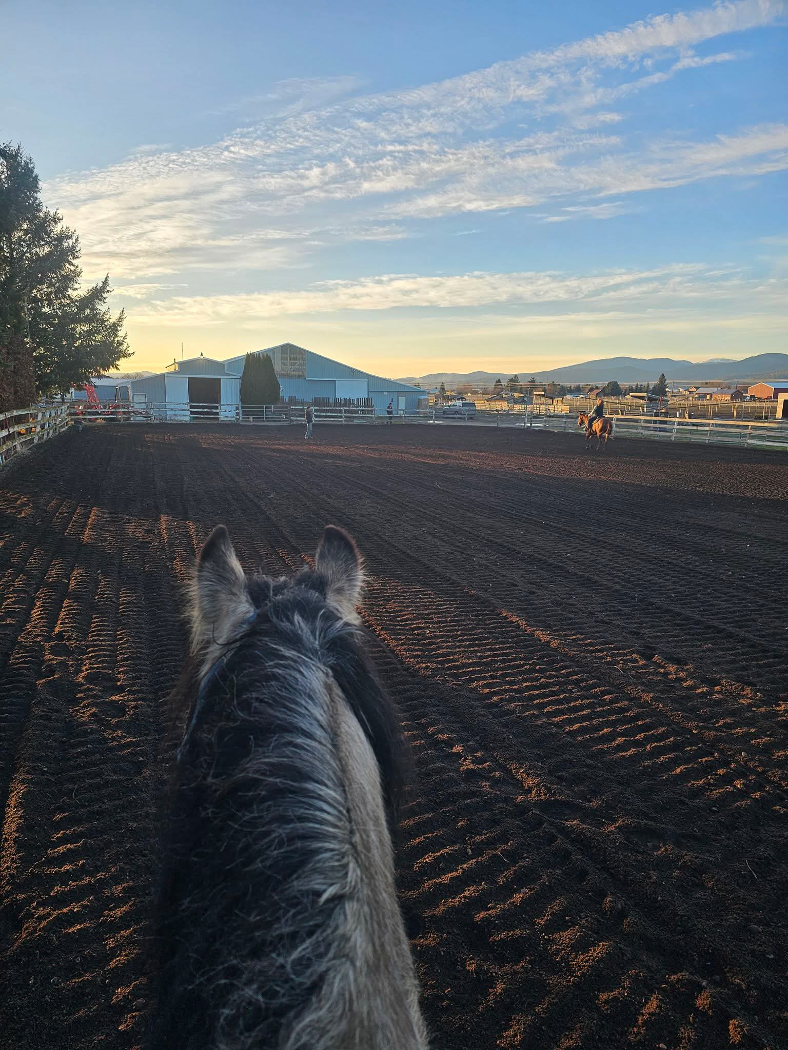 Outdoor arena