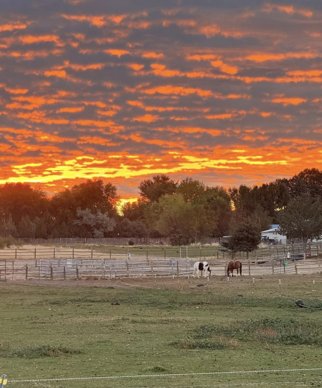 Pasture and sunrise views