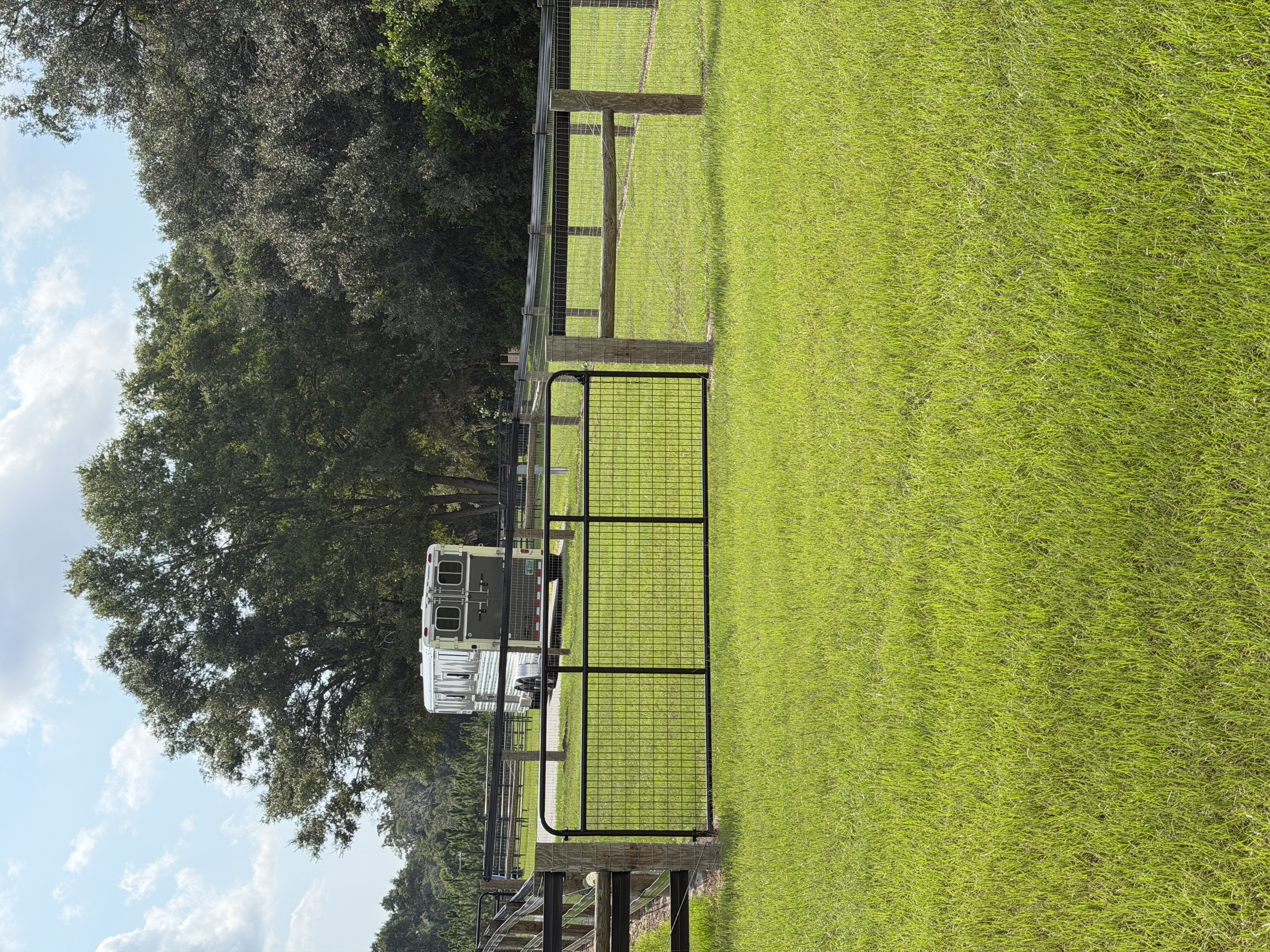 Dog run/ additional paddock