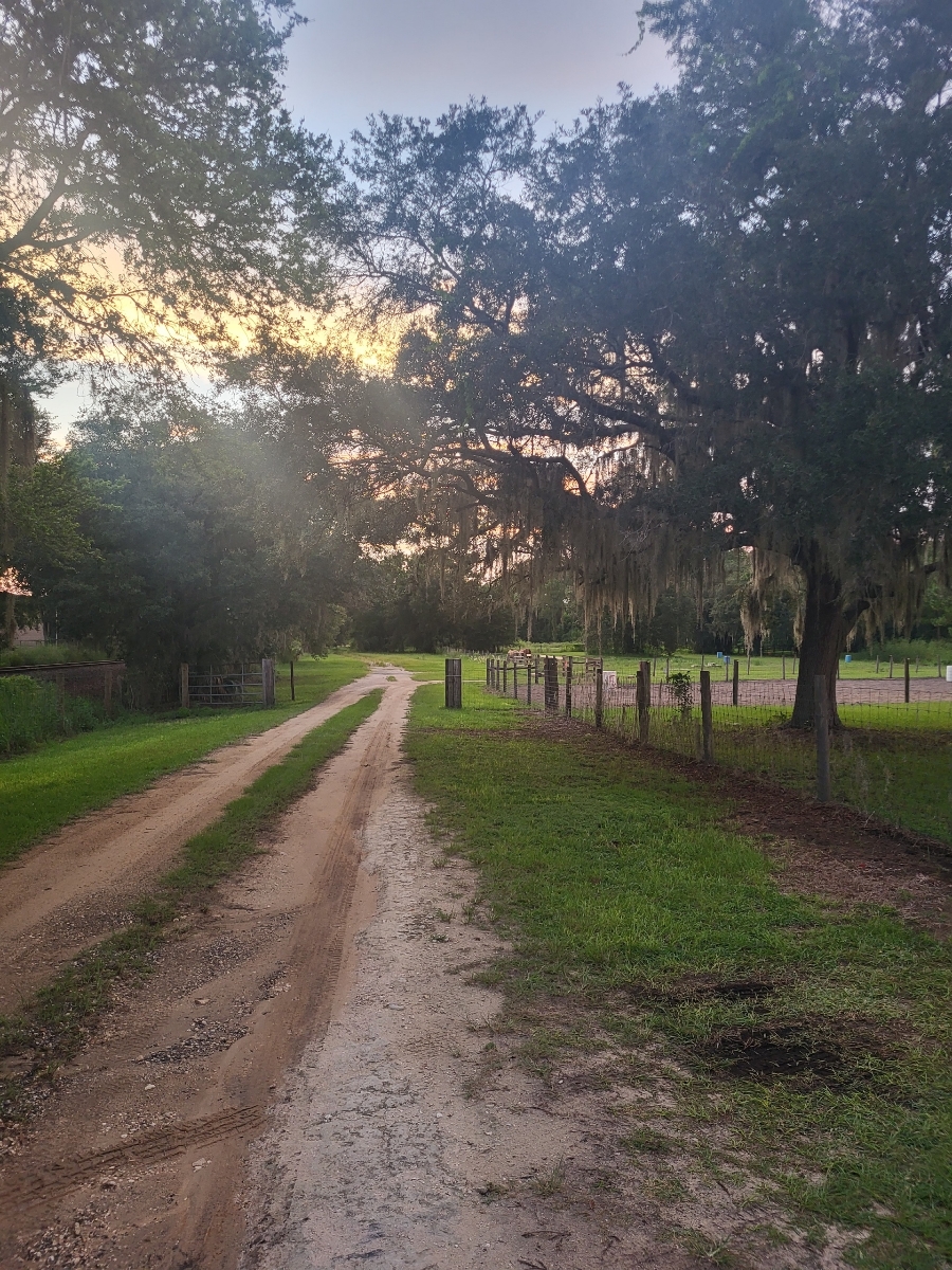We are set back in double gated very peaceful and quiet