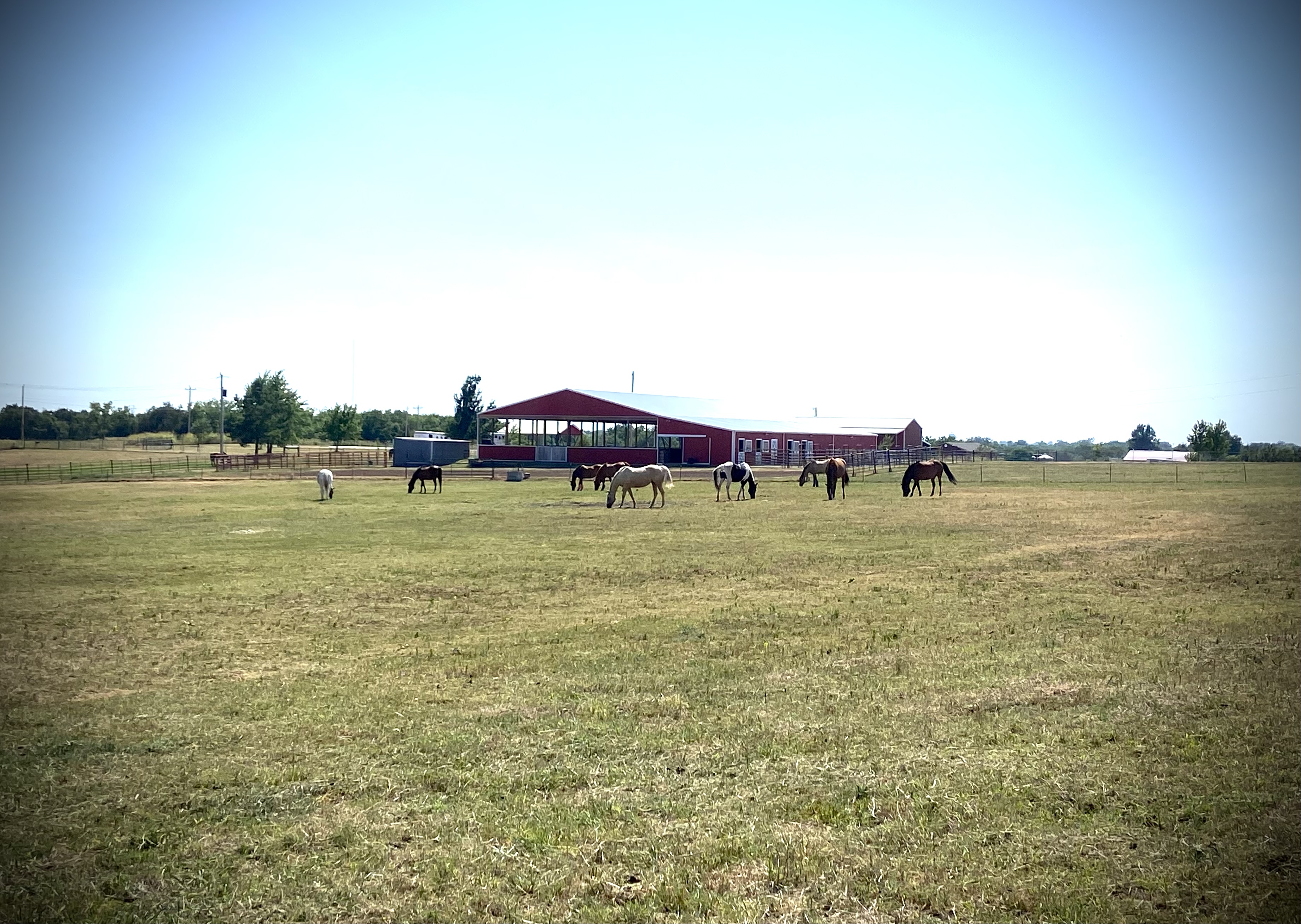 Pasture