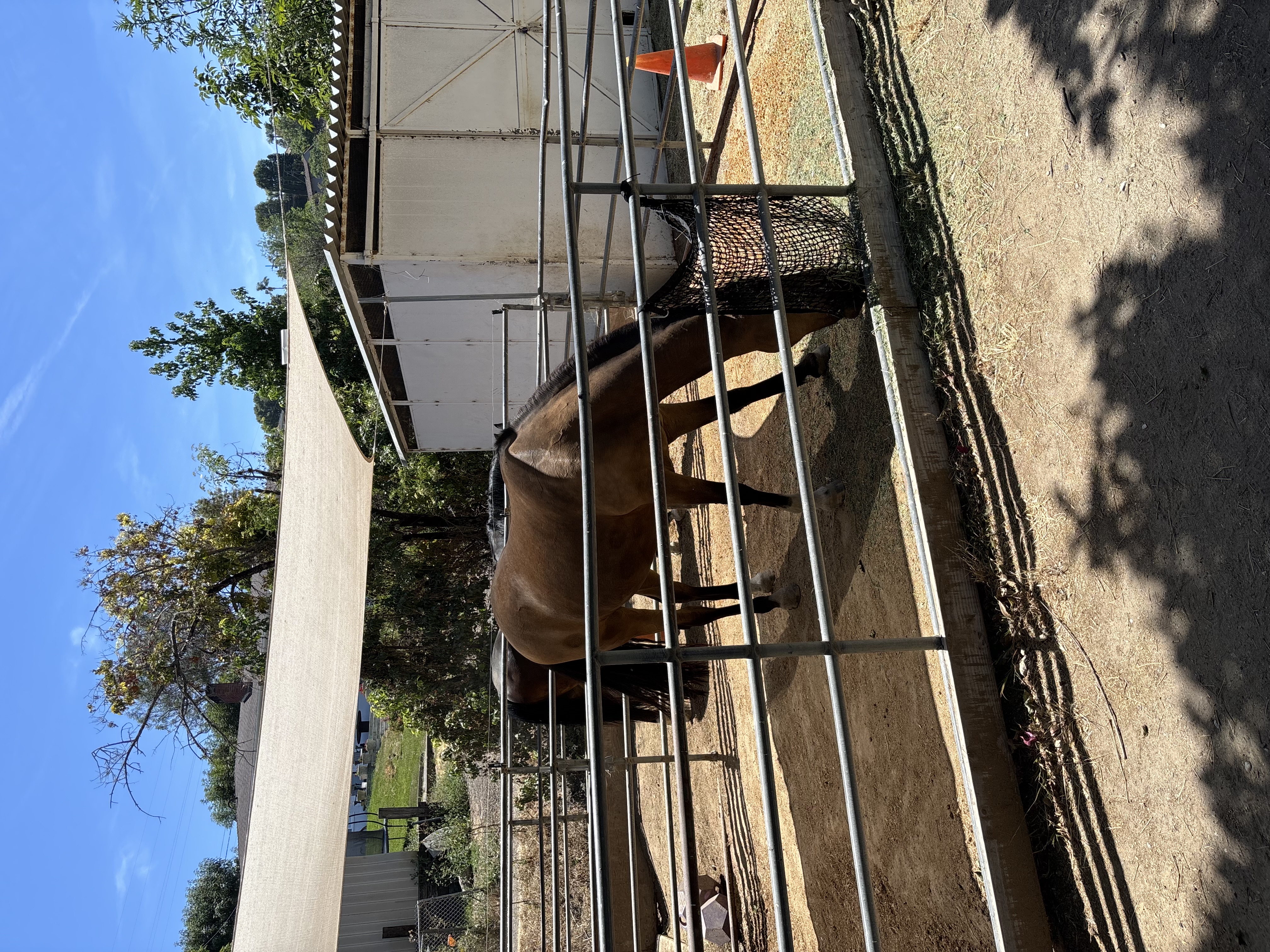 Stall and hay barn