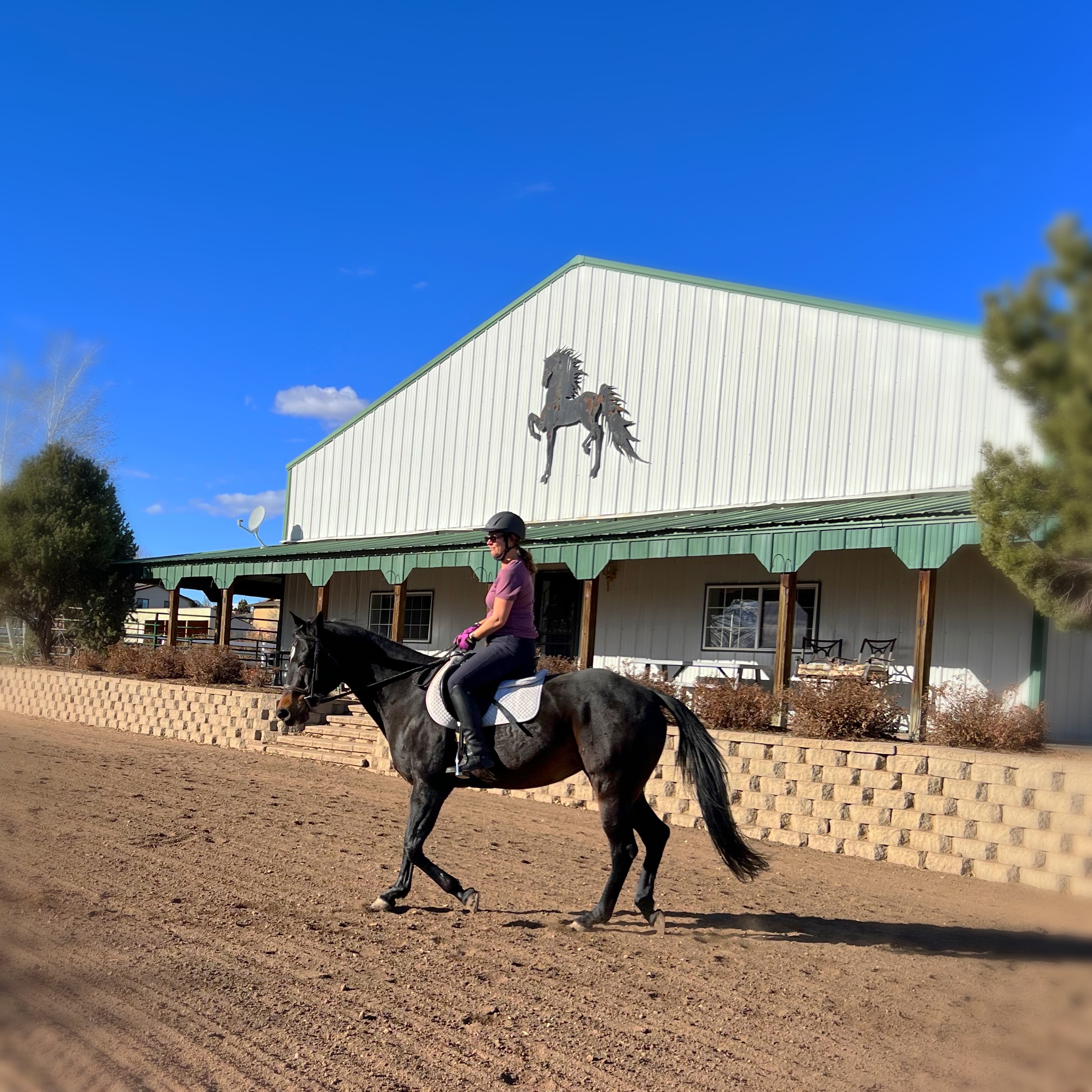 Hidden Lane Stable outdoor arena