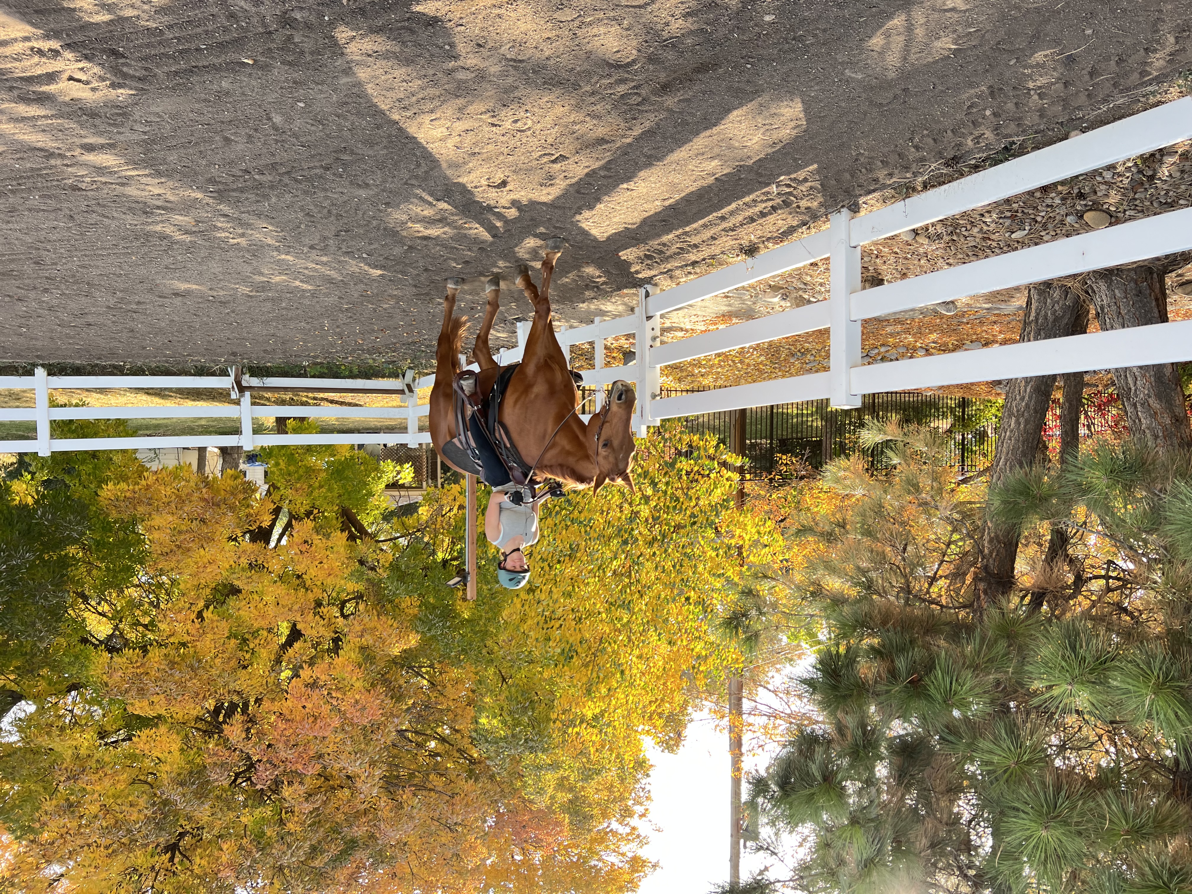 Hidden Lane Stable fall colors