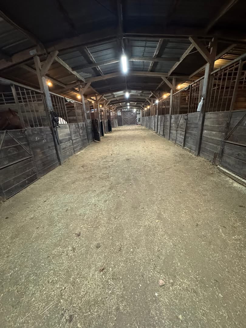 Stables