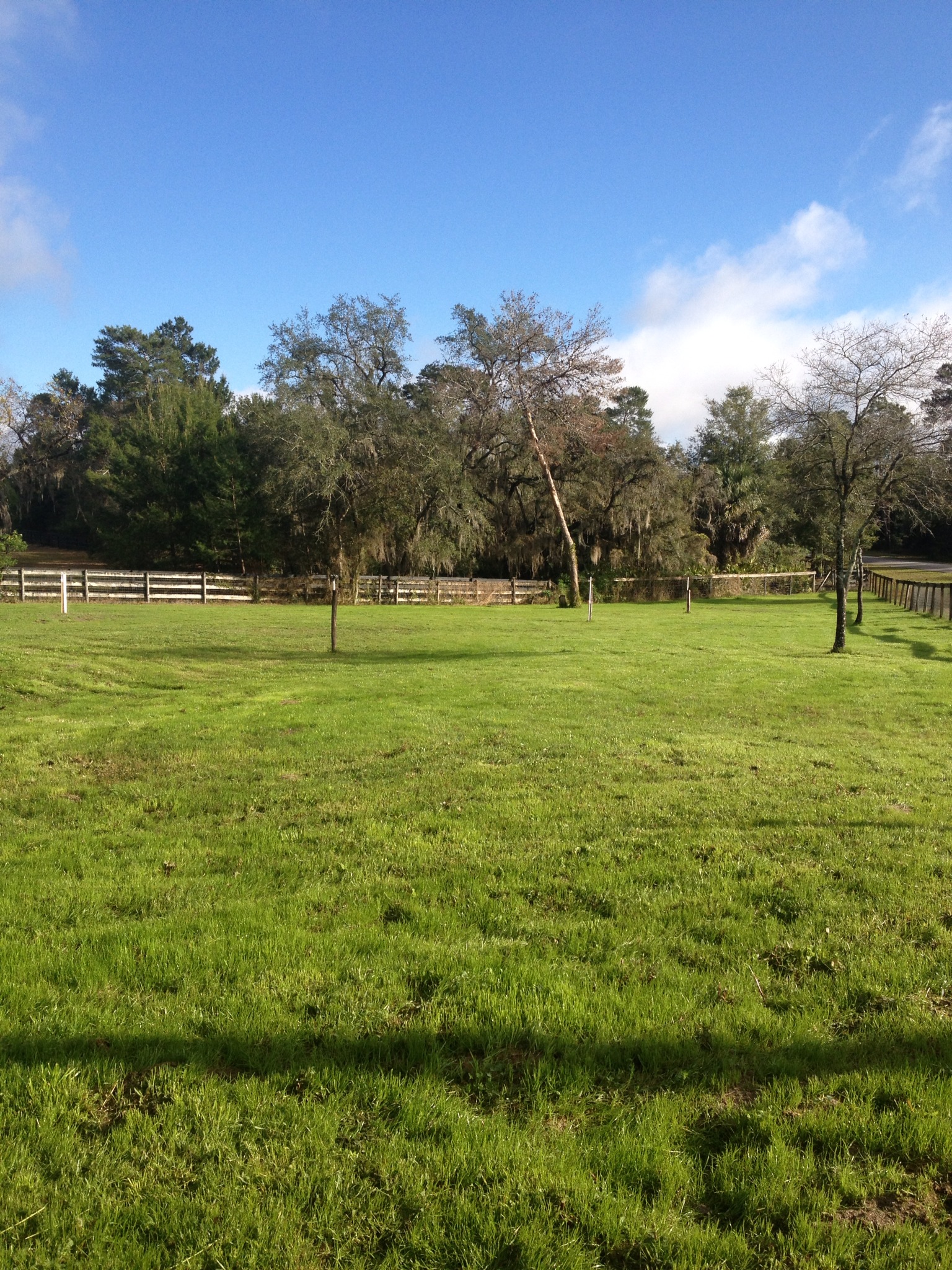 Pasture