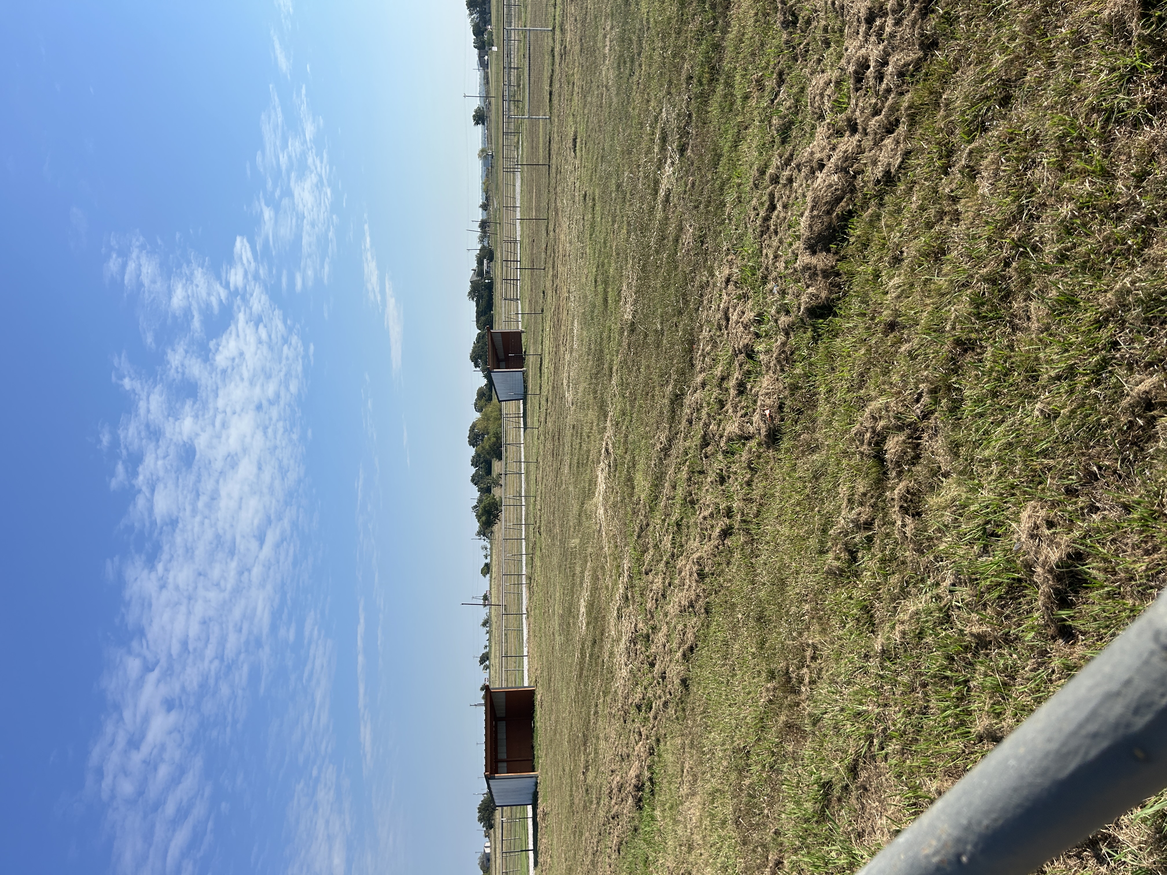Pasture