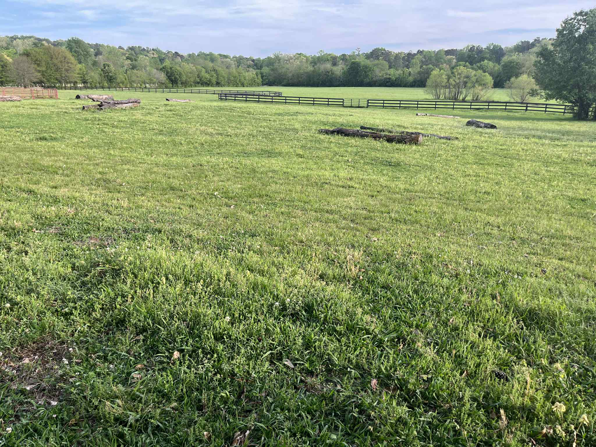 Jump field