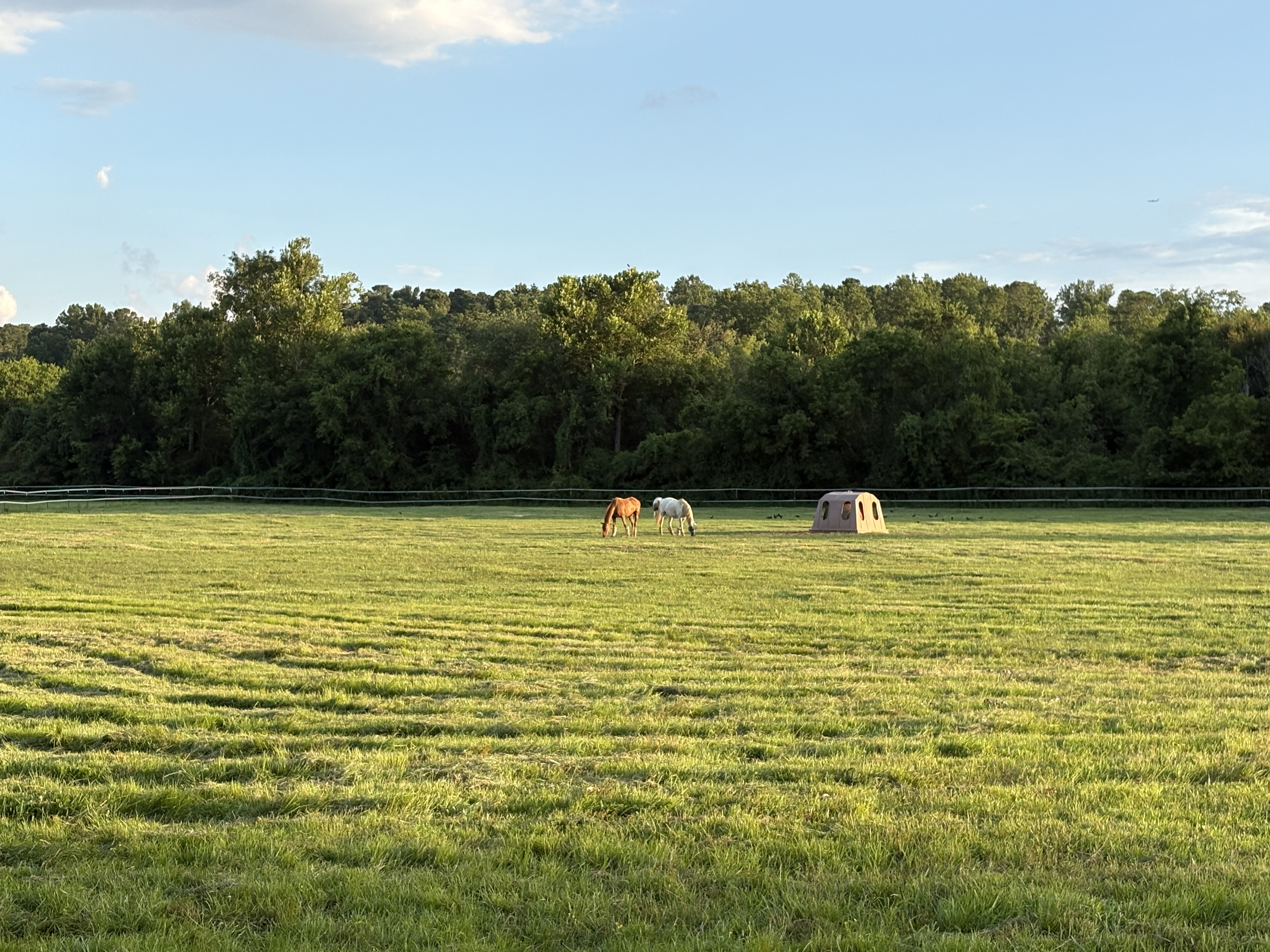 Pasture 2
