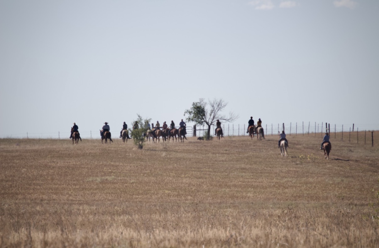 Our back pasture is a mile all the way around and perfect for short trails and breezing