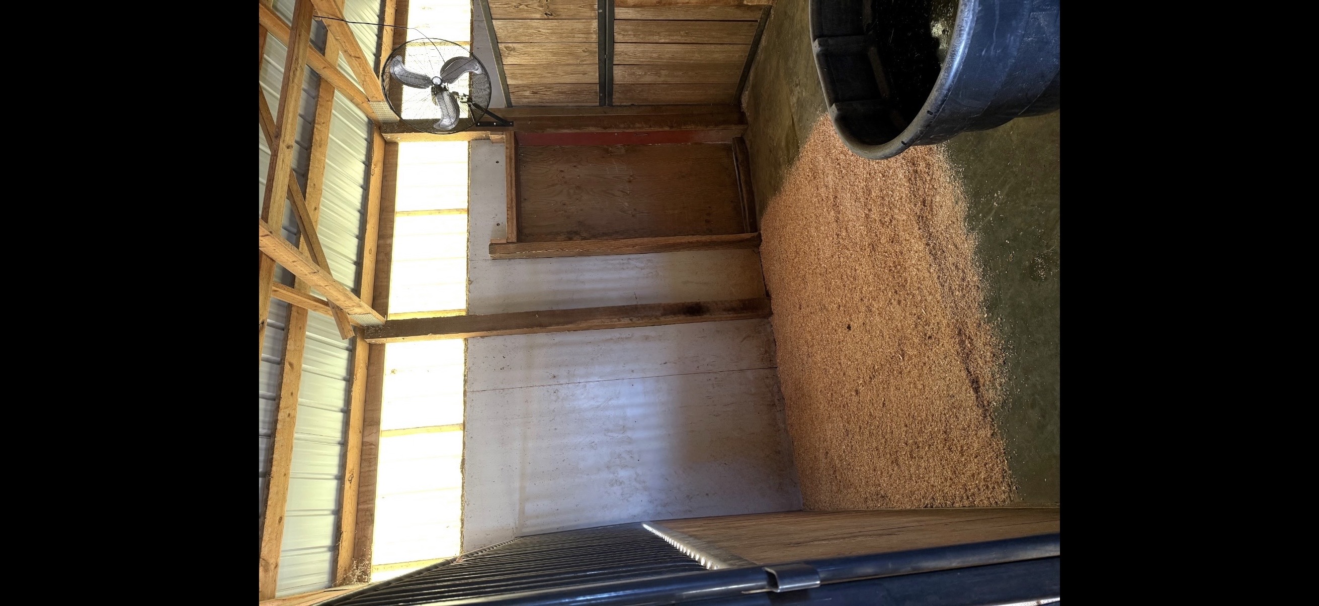 Stall boarding with runs attached and full day turn out into pens available