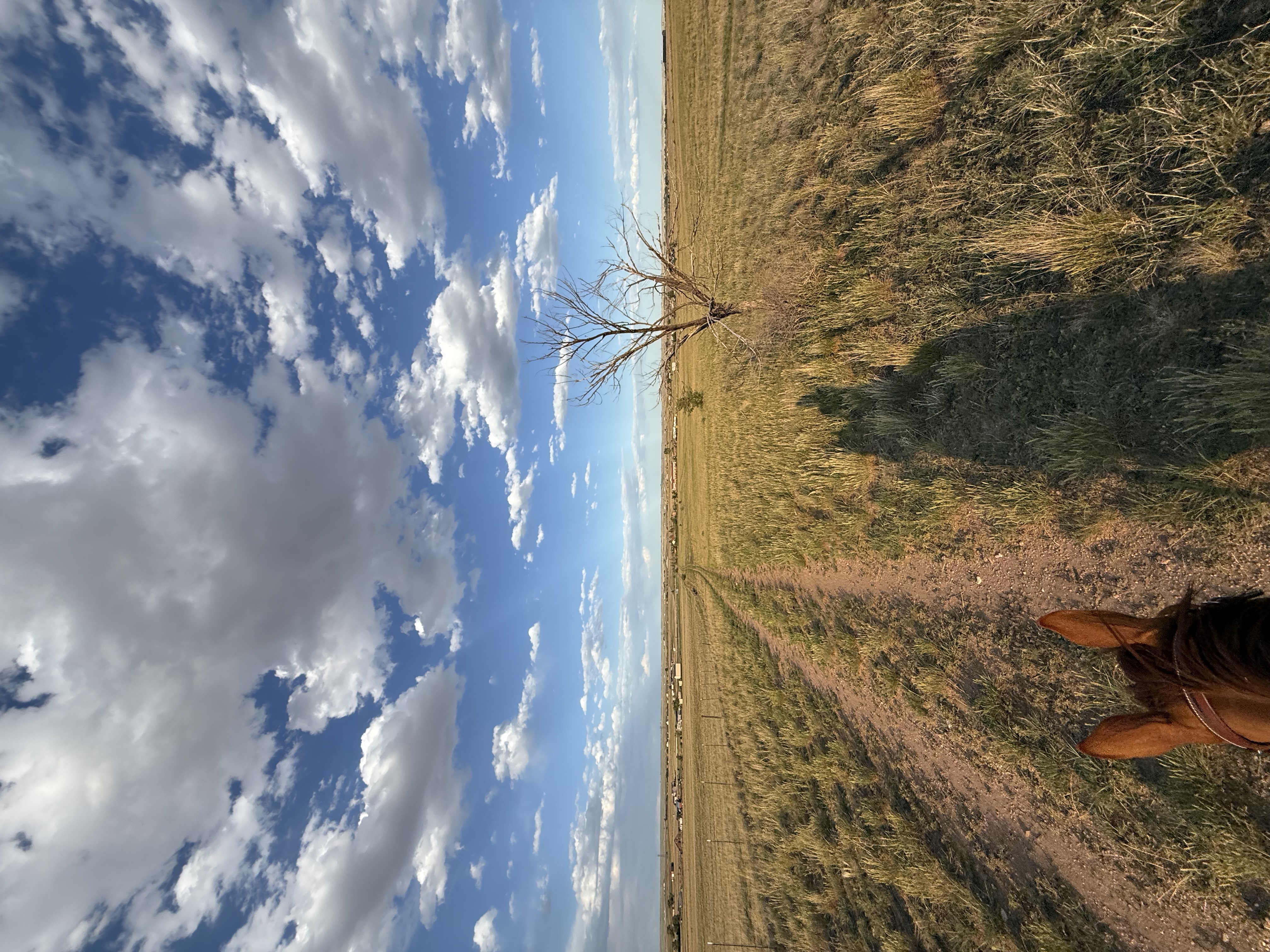 Back pasture views