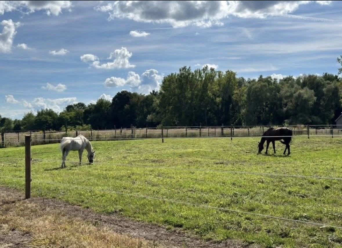 Pastures