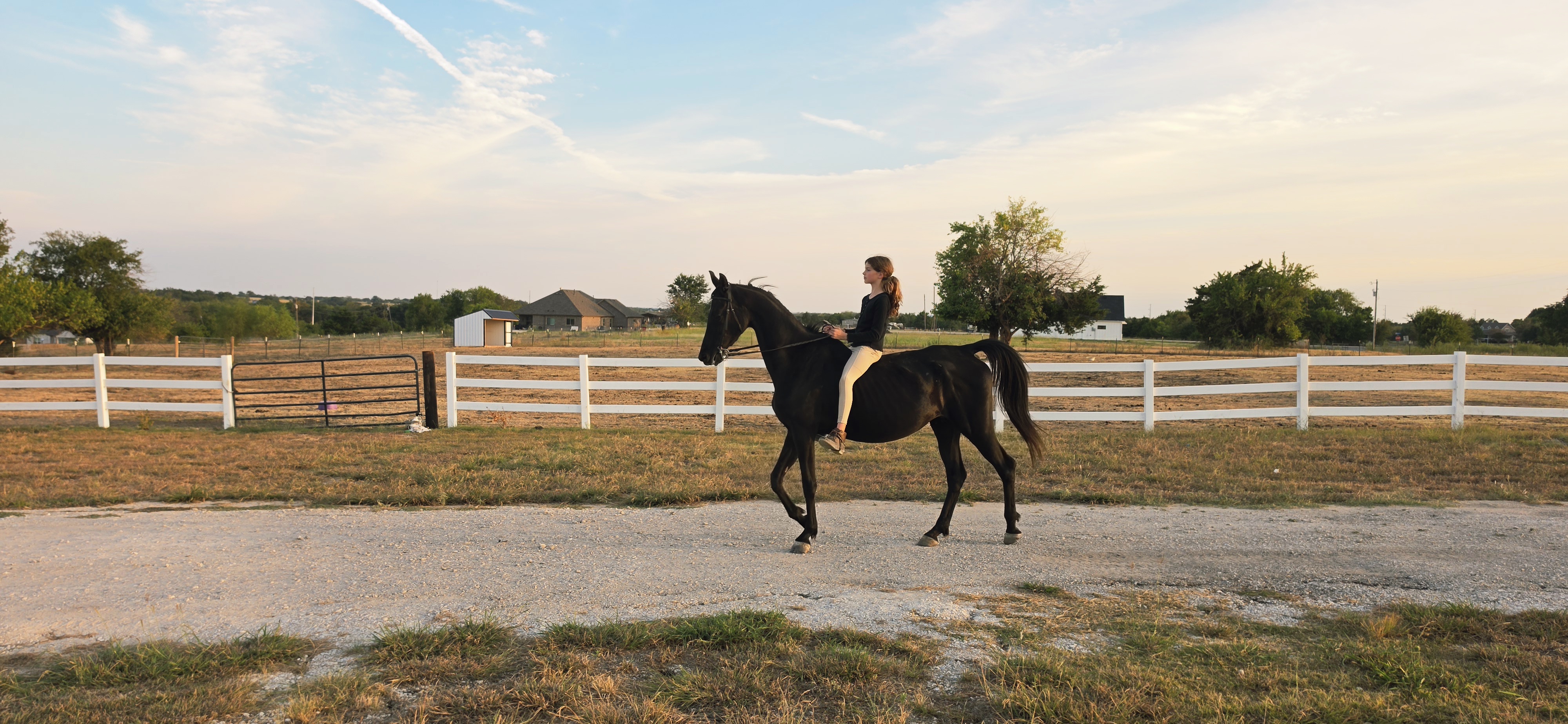 Hack around the farm