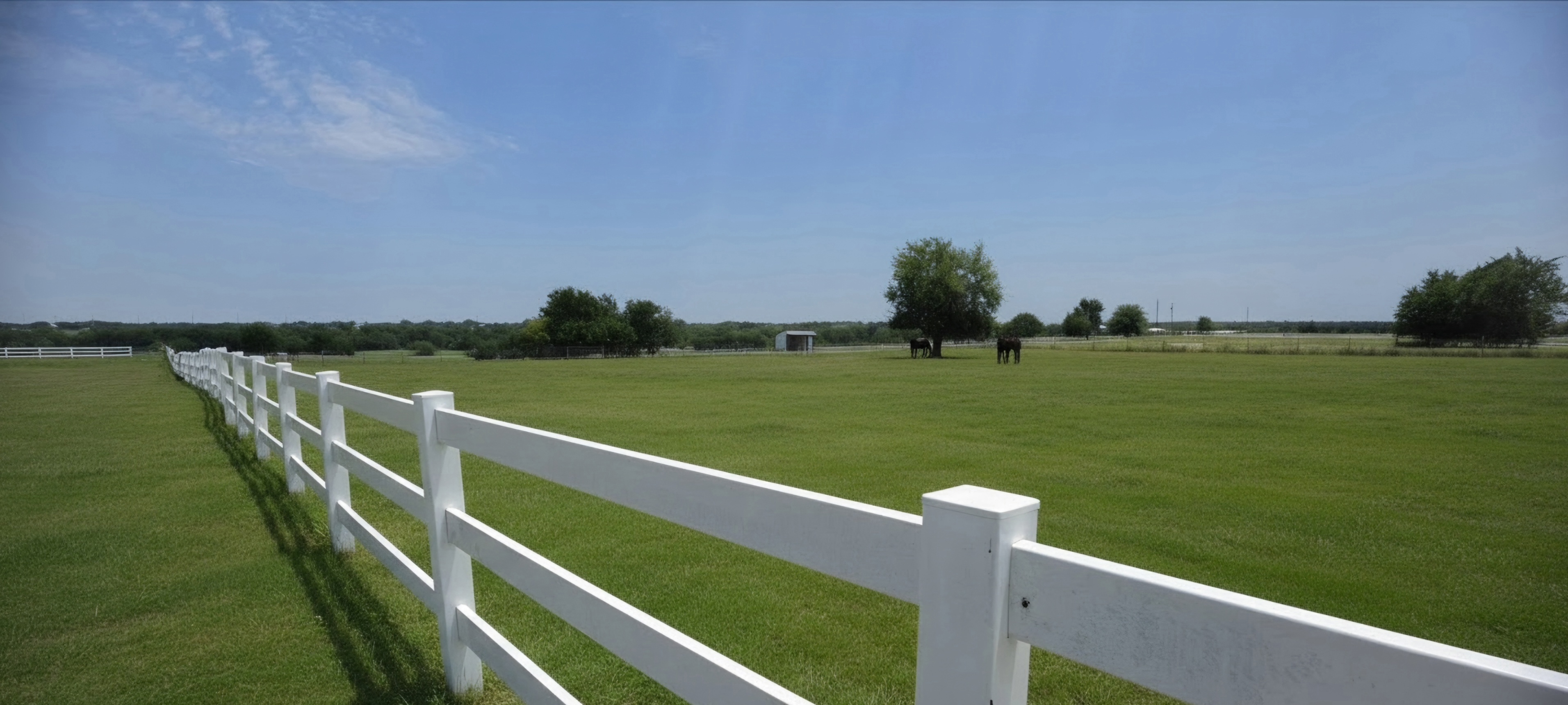 Open grassy feilds