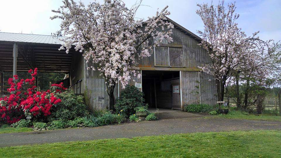 Main Barn
