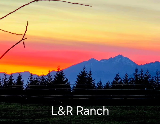 L & R RANCH