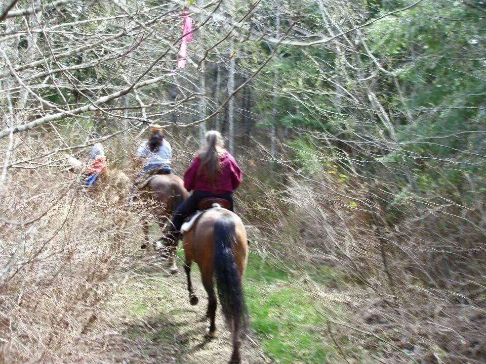 Saddle up at the barn & go trail riding!