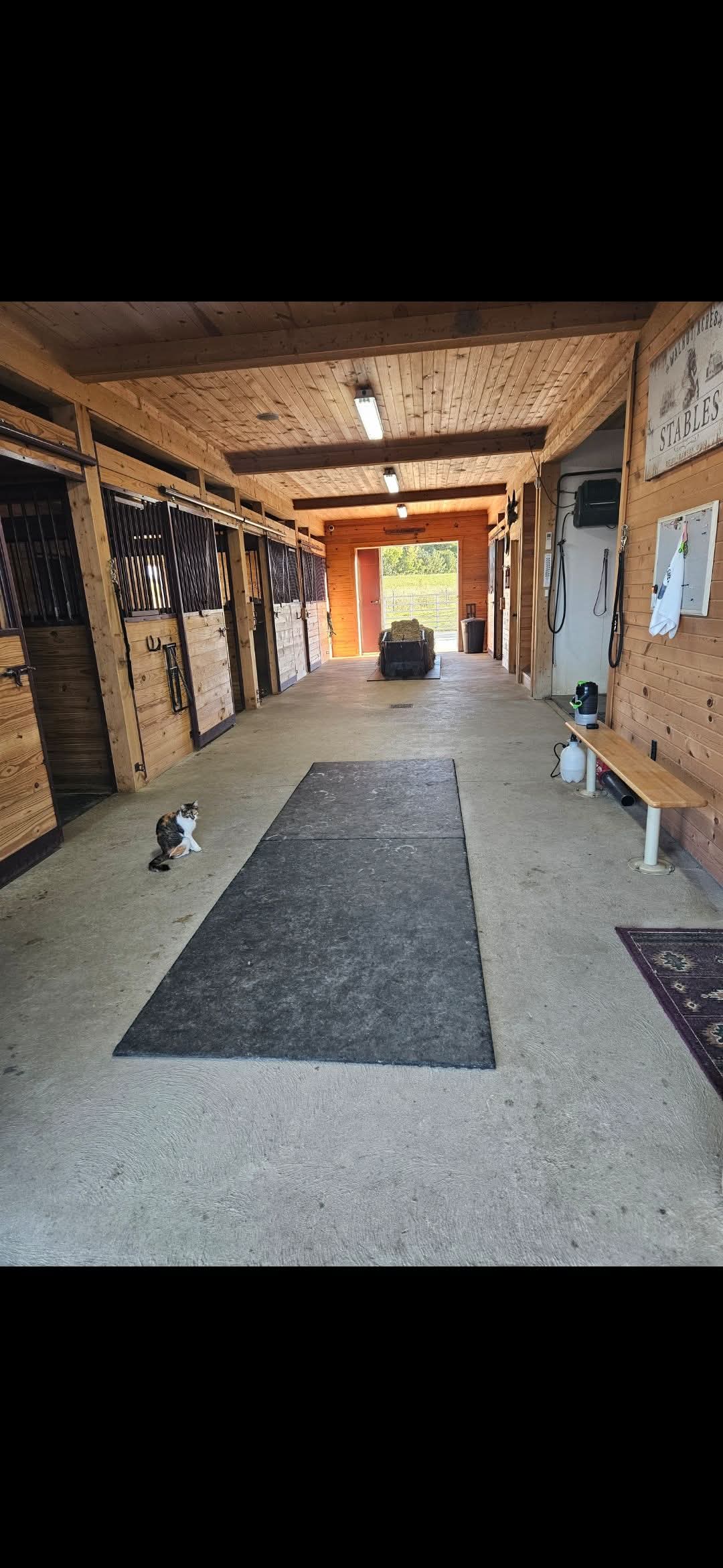 Clean, family friendly barn