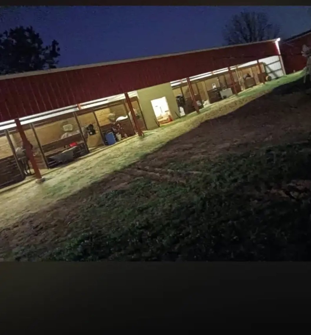 We leave the lights on for you